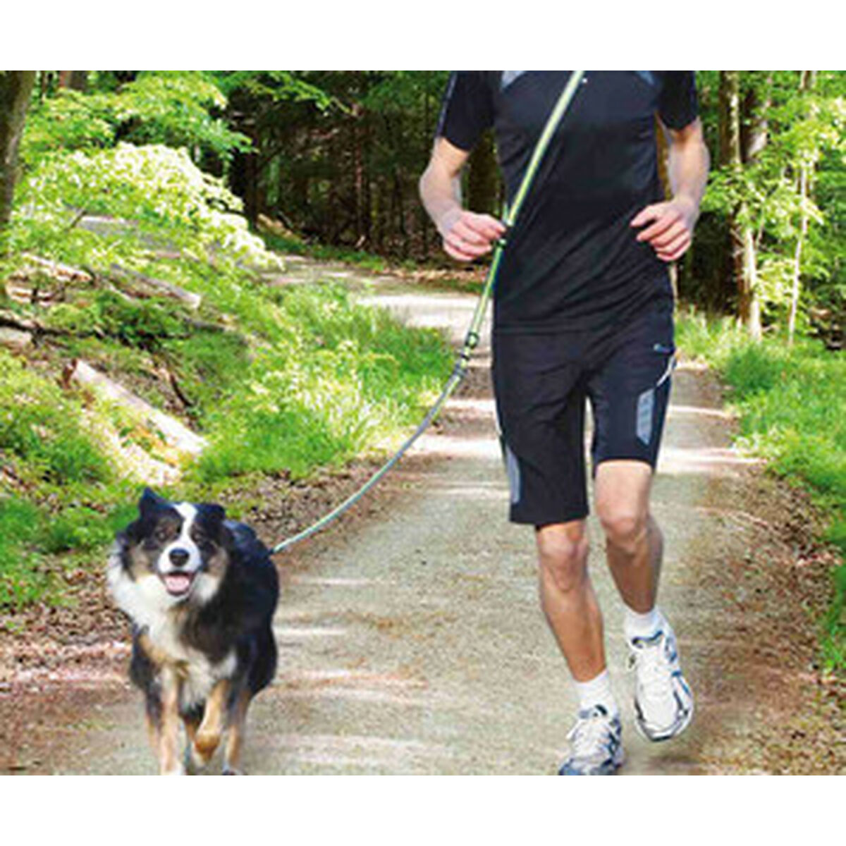 Dog Lead Trixie Friends on Tour Green Grey 1,33-1,80 m, view 3