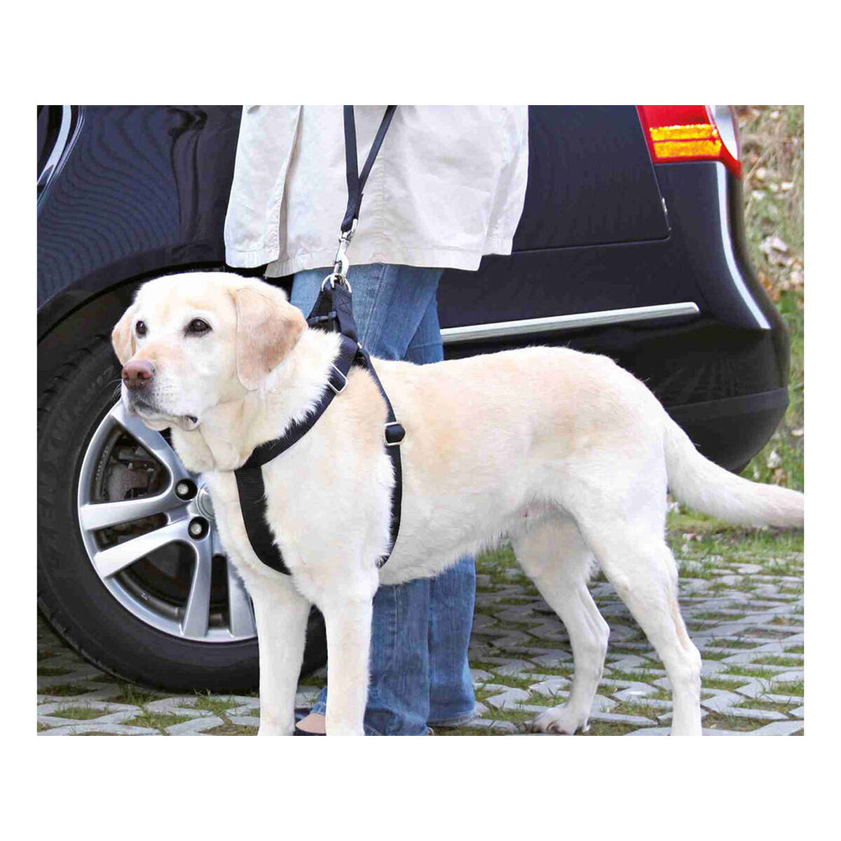 Dog Lead Trixie Friends on Tour Black 30 cm, view 3