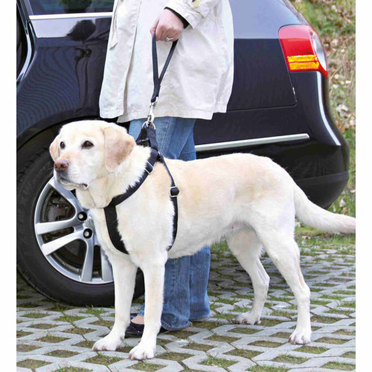 Dog Lead Trixie Friends on Tour Black 30 cm, view 4