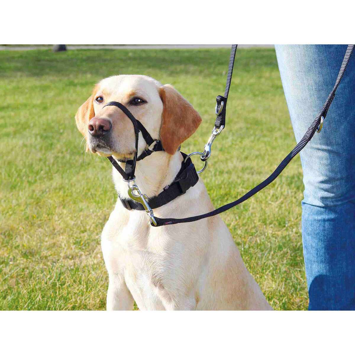 Geleideharnas voor hond Trixie Top Trainer Zwart M