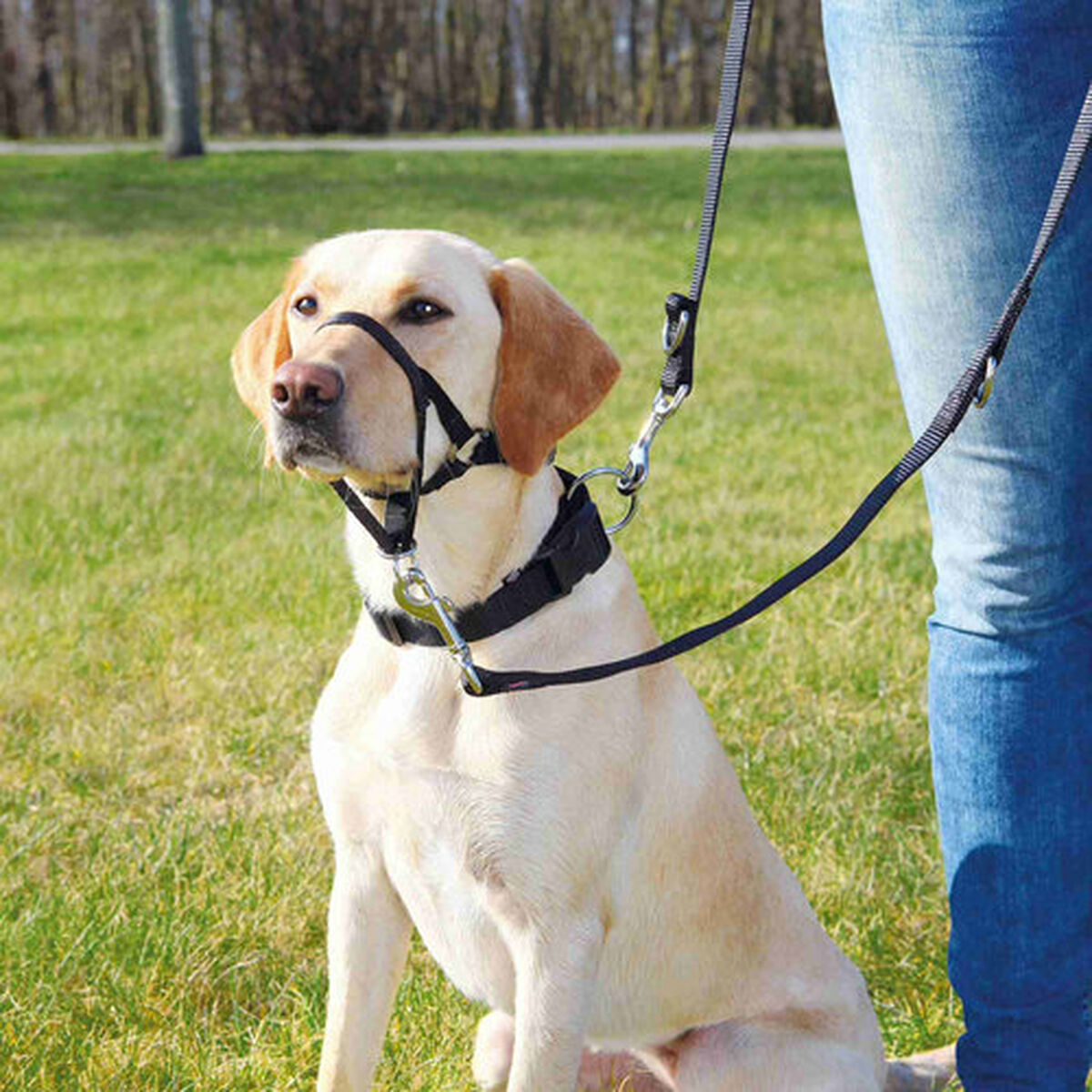 Geleideharnas voor hond Trixie Top Trainer Zwart M