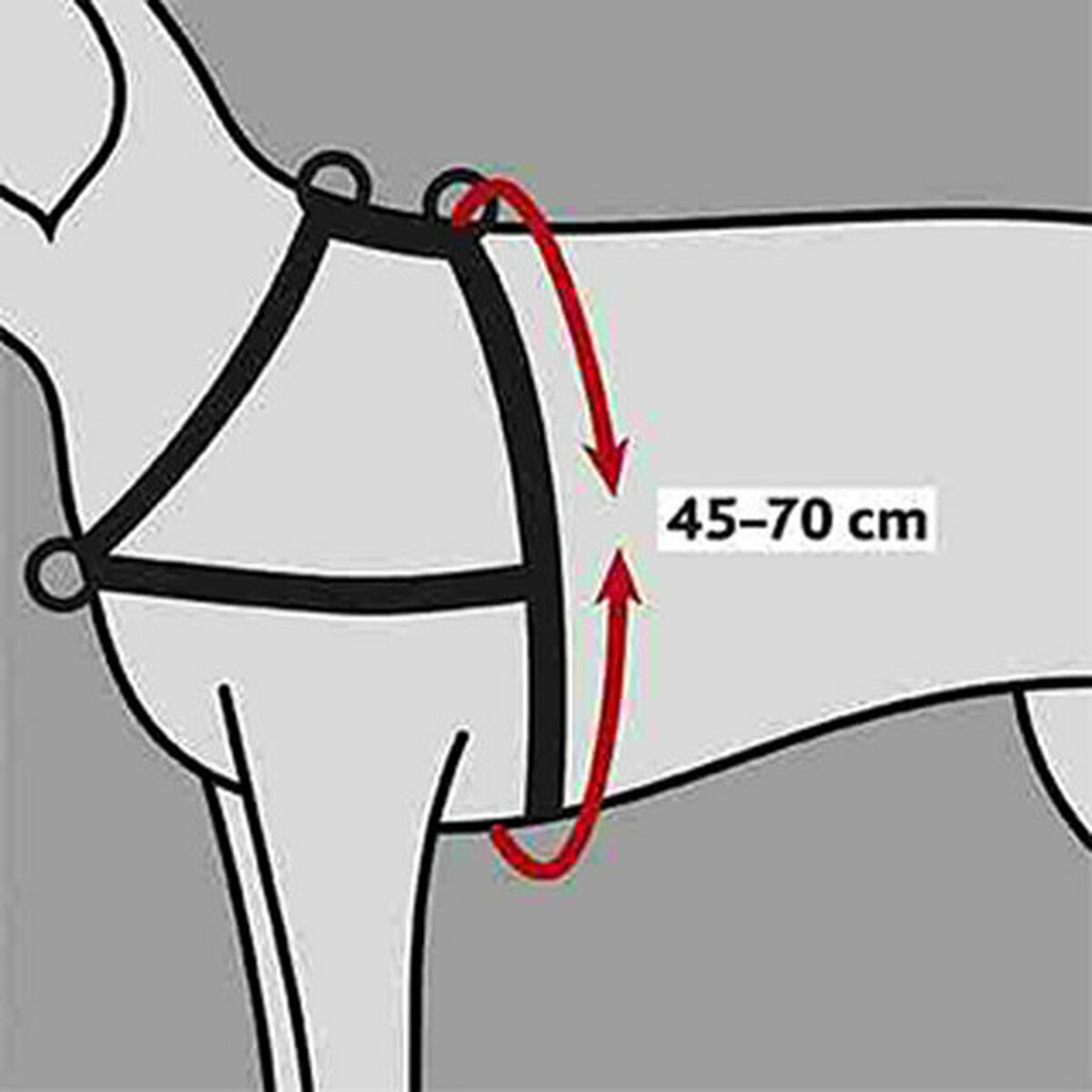 Dog Harness Trixie Black S/M, view 3