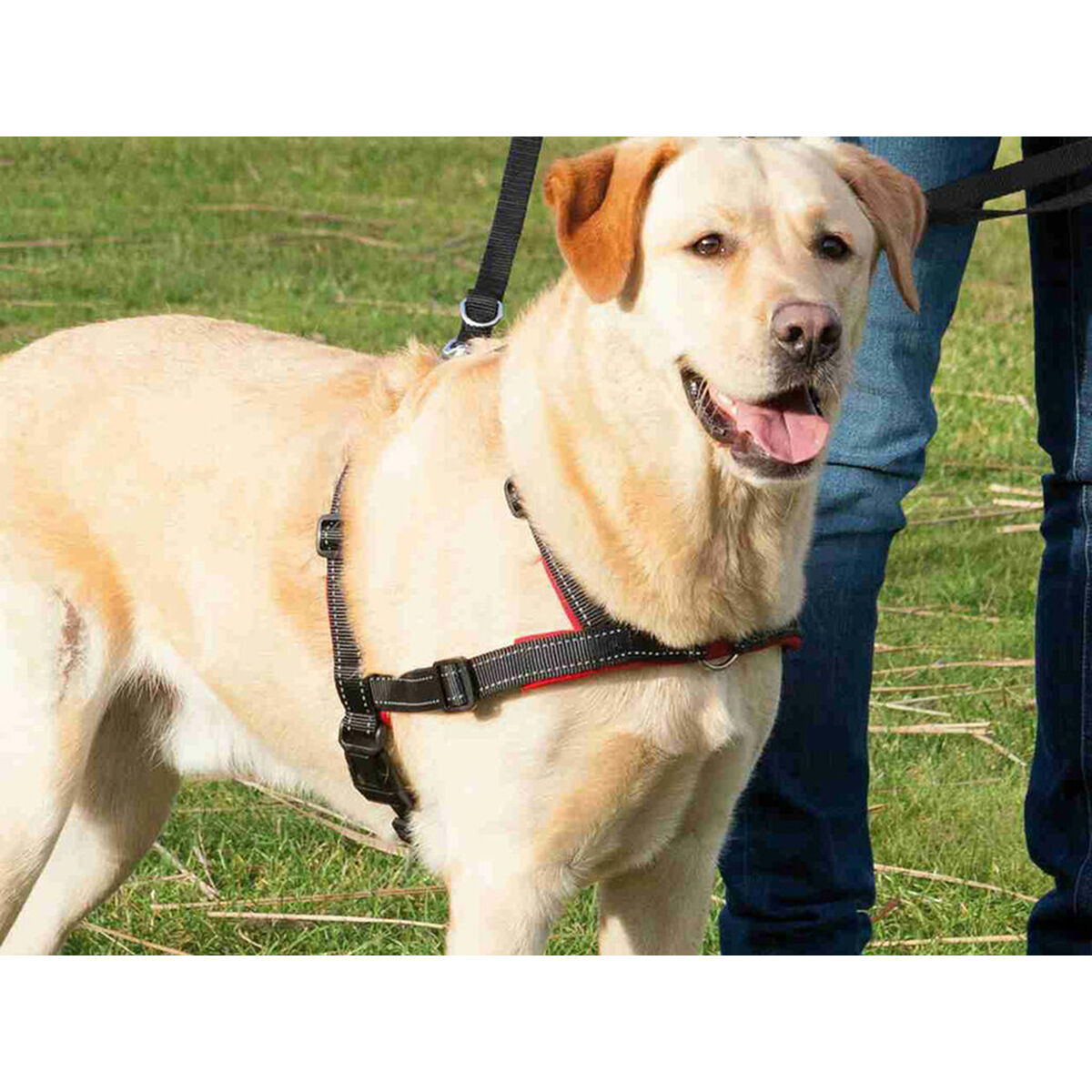 Dog Harness Trixie Black S/M, view 5