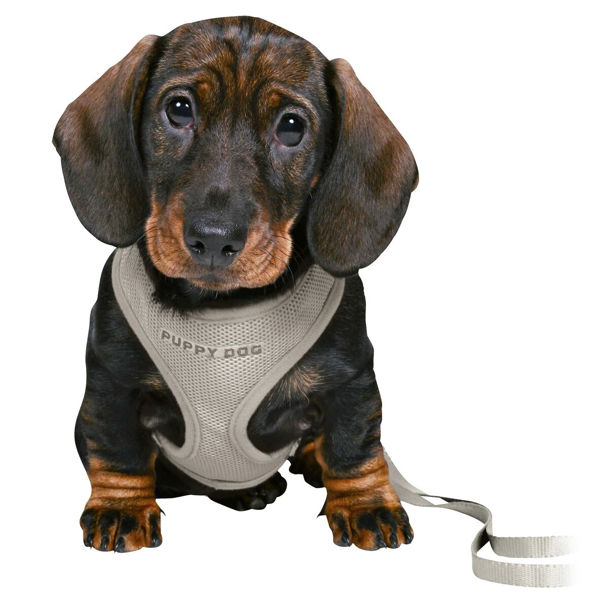 Dog Harness Trixie Junior Light grey, view 2