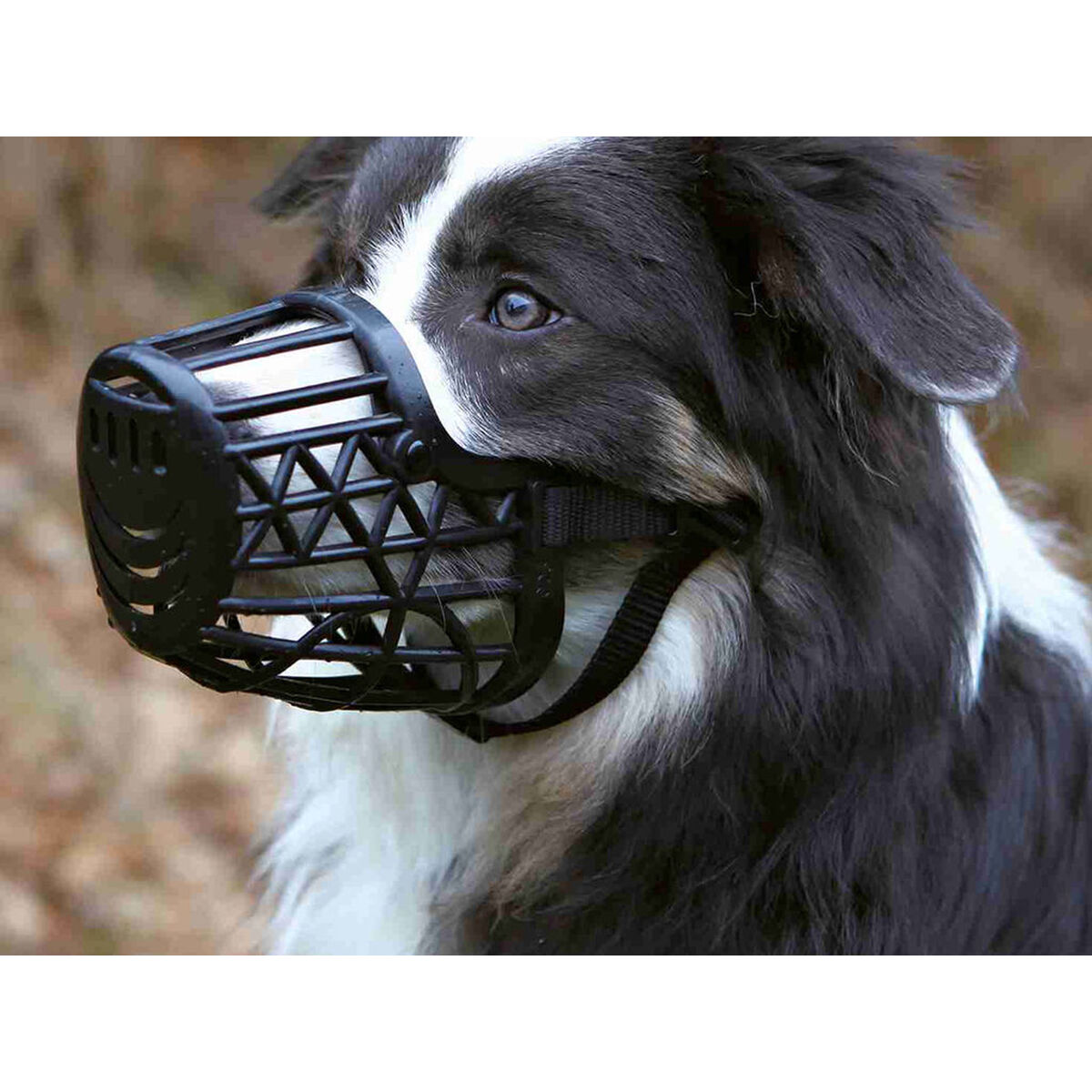 Muzzle Trixie Black M, view 3