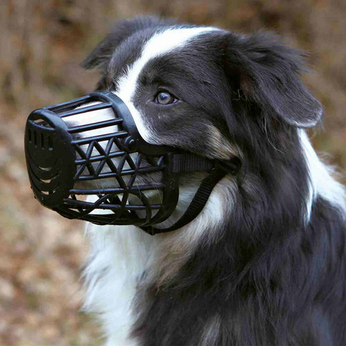 Muzzle Trixie Black M, view 4