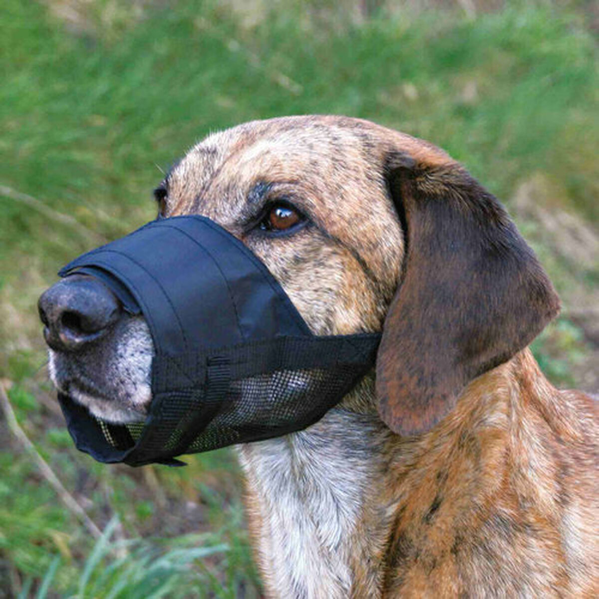 Muzzle Trixie 19263 Black M 16-24 cm, view 4