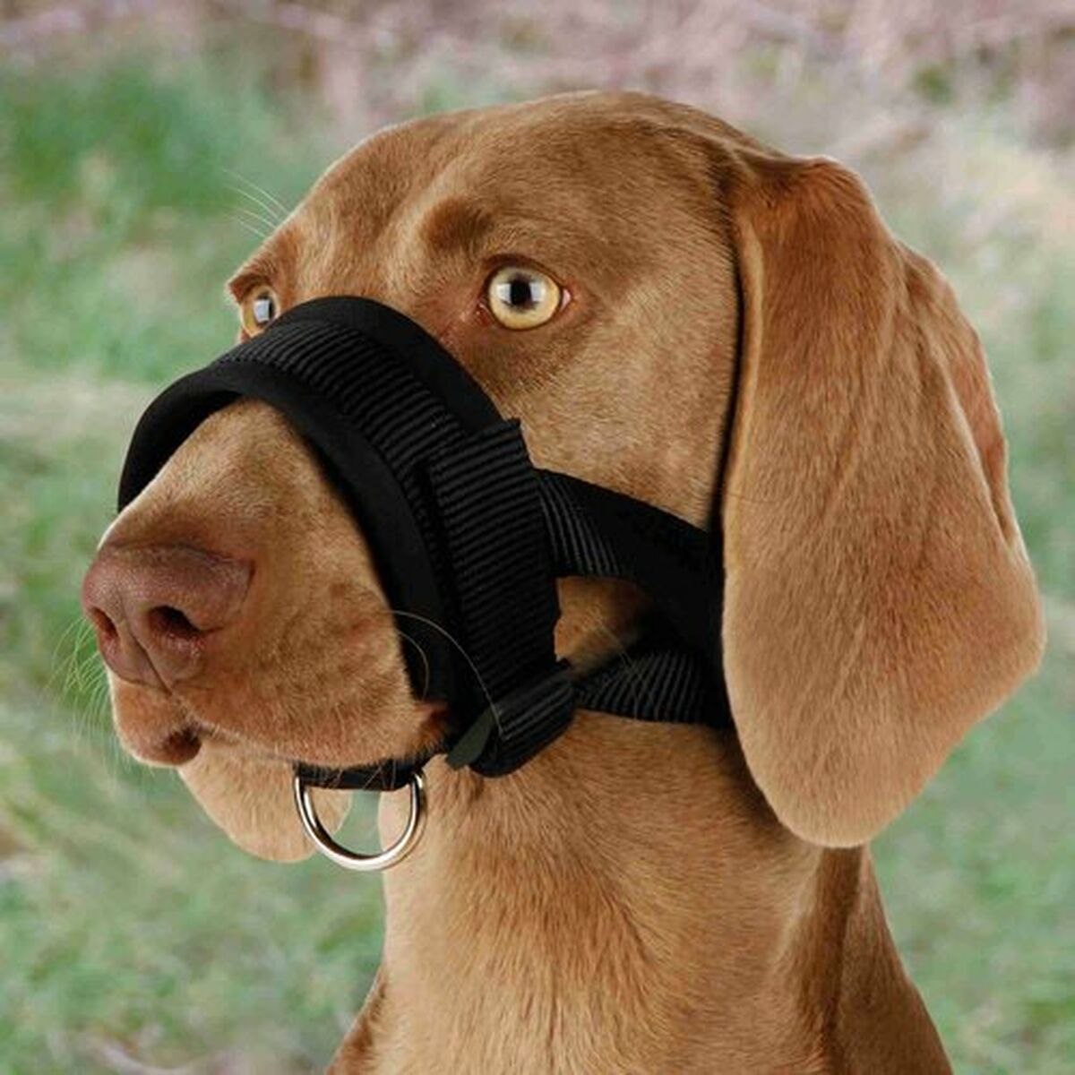 Muzzle Trixie Black XXL, view 4