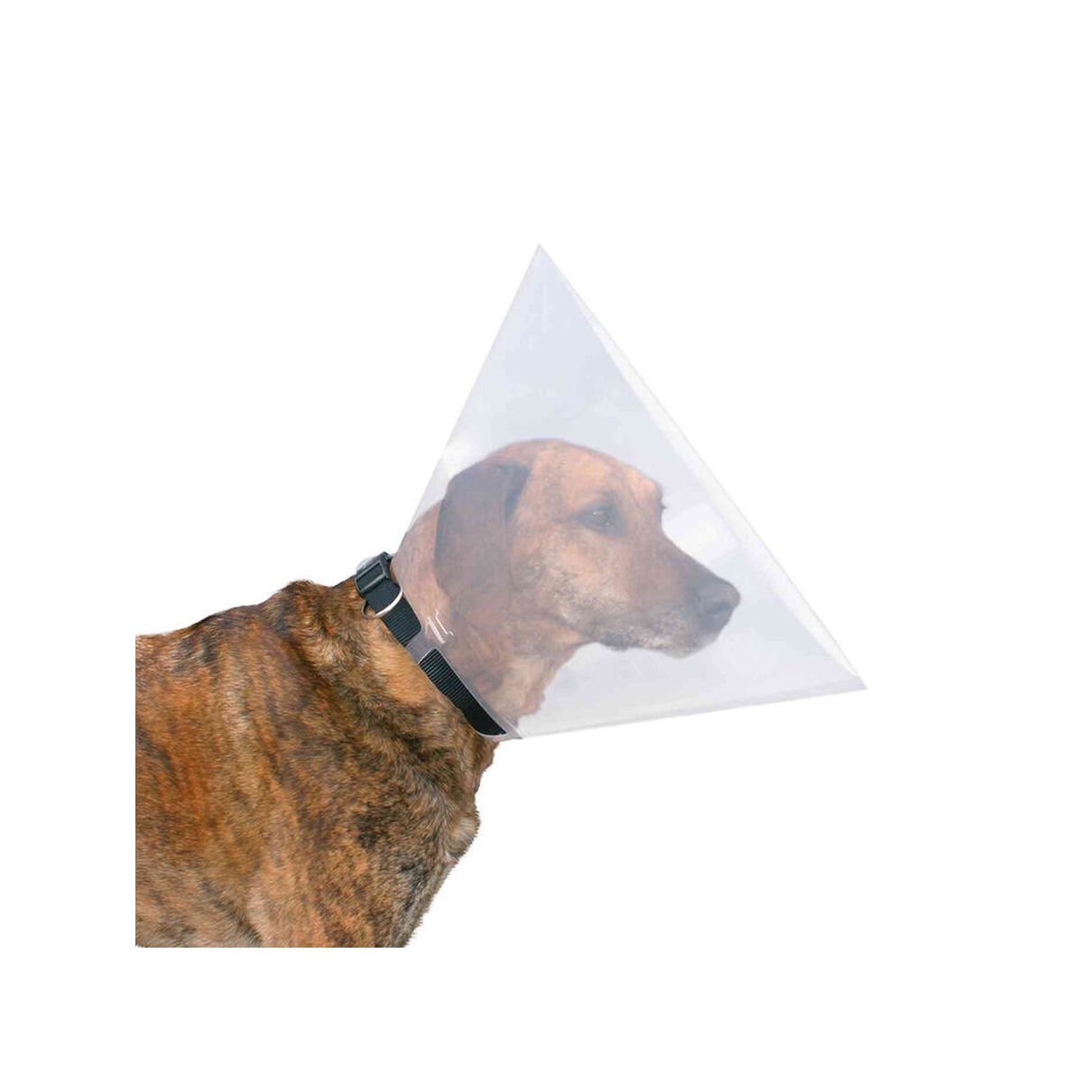 Lampenkap voor honden Trixie (44-50 cm)