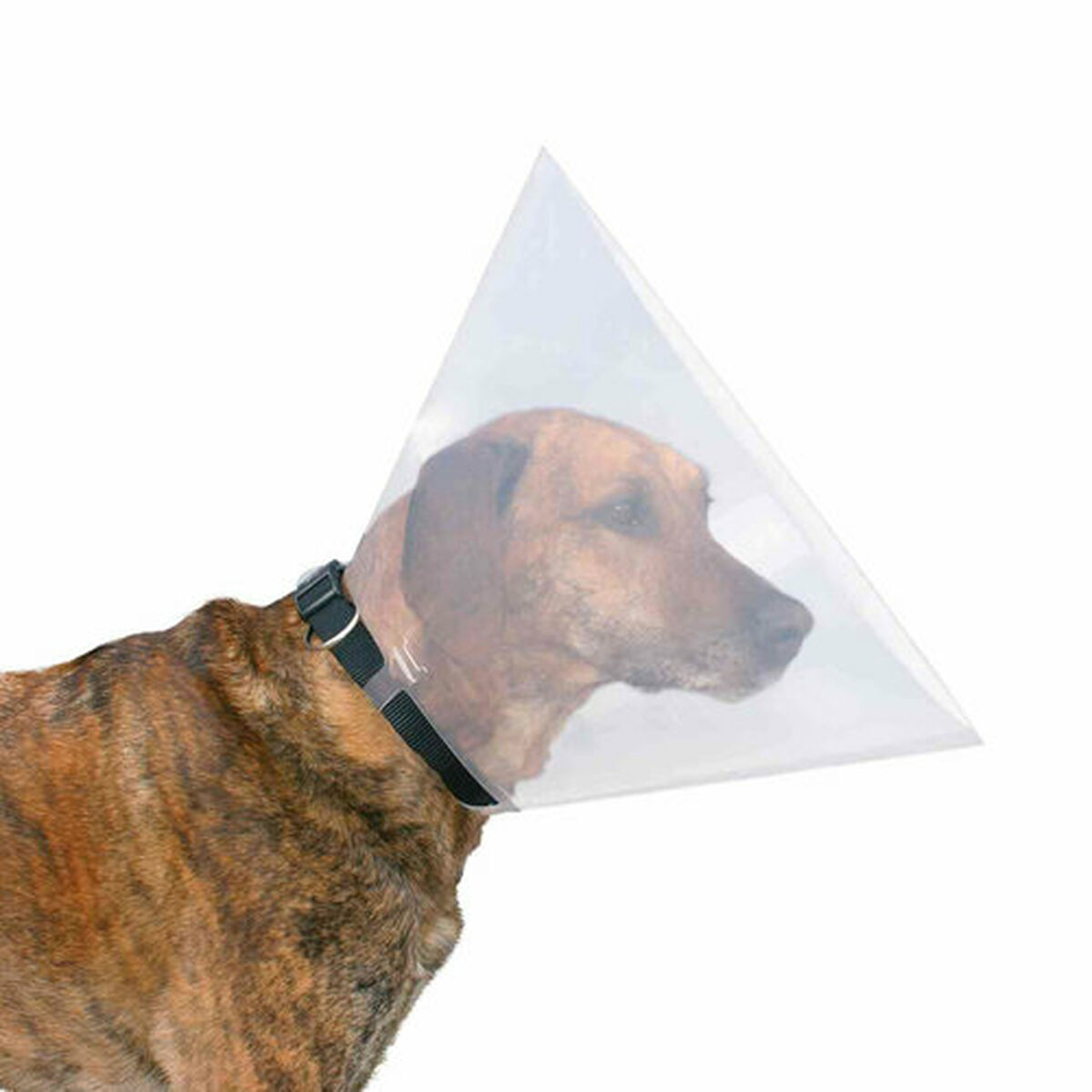 Elizabethan Dog Collar Trixie (47-55 cm) (47-57 cm), view 4