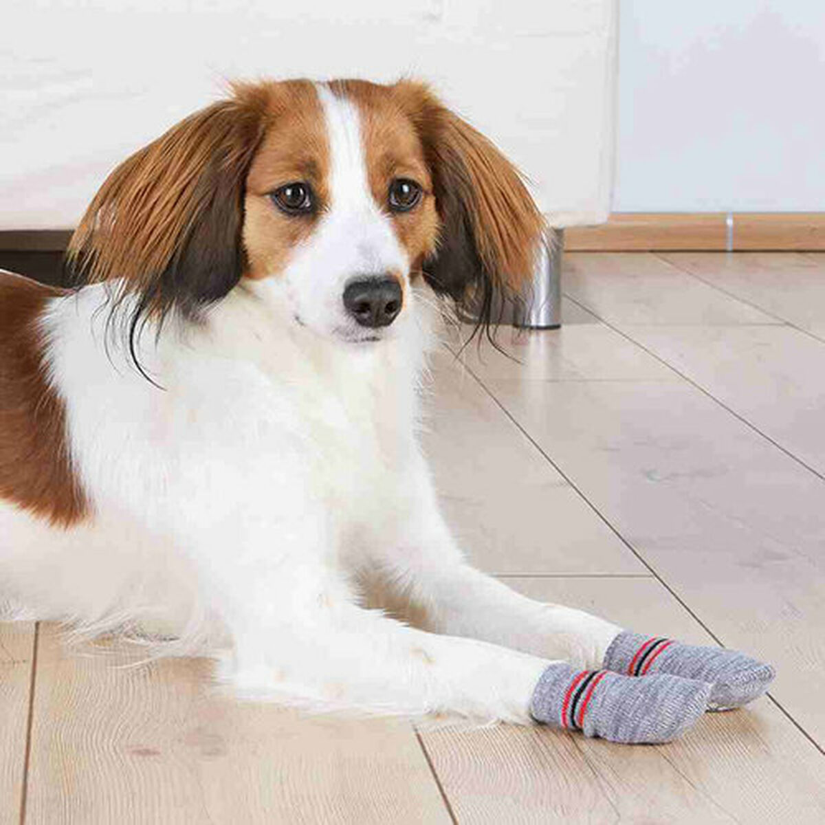 Socks Trixie Grey M/L Dog, view 6