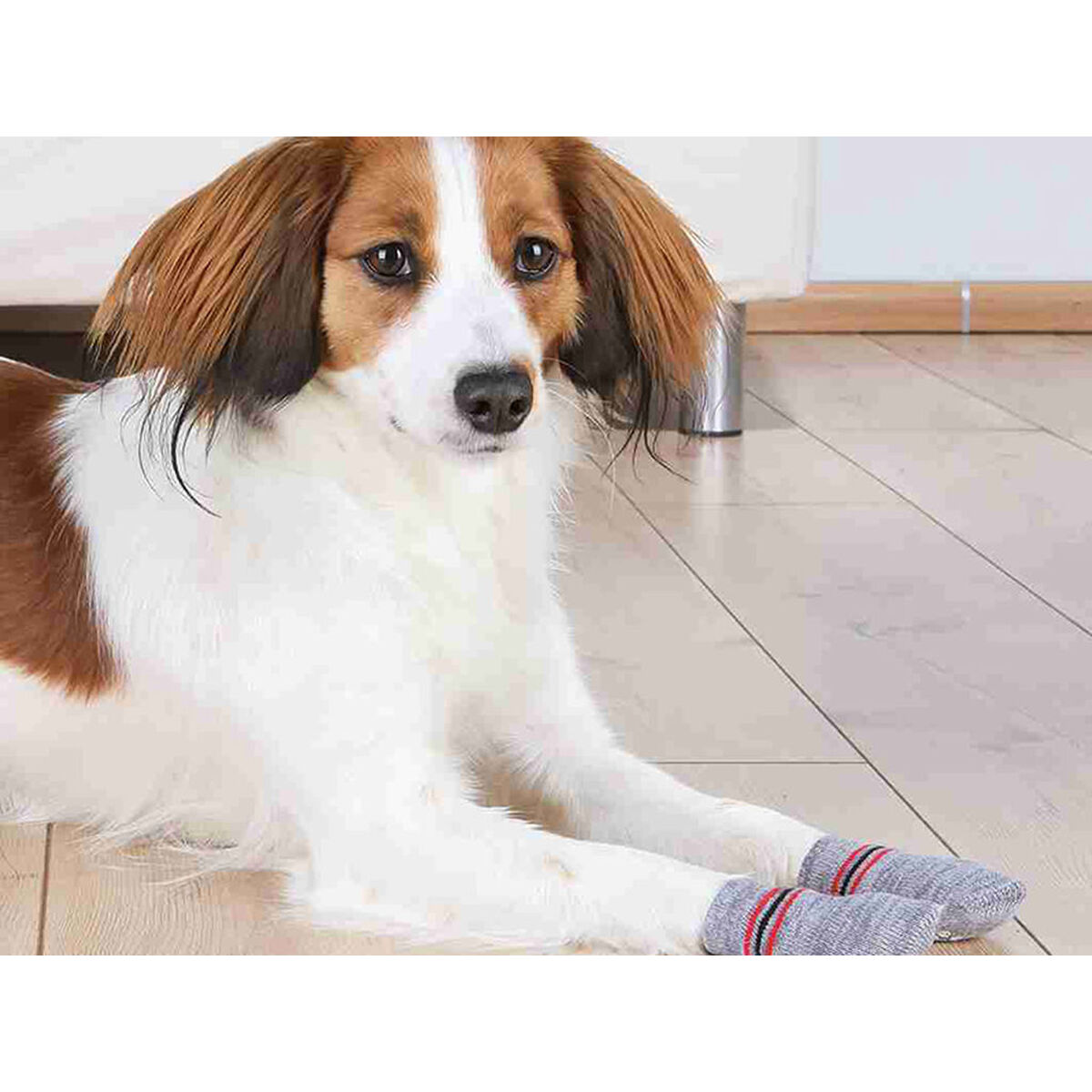 Socks Trixie Grey L Dog, view 5