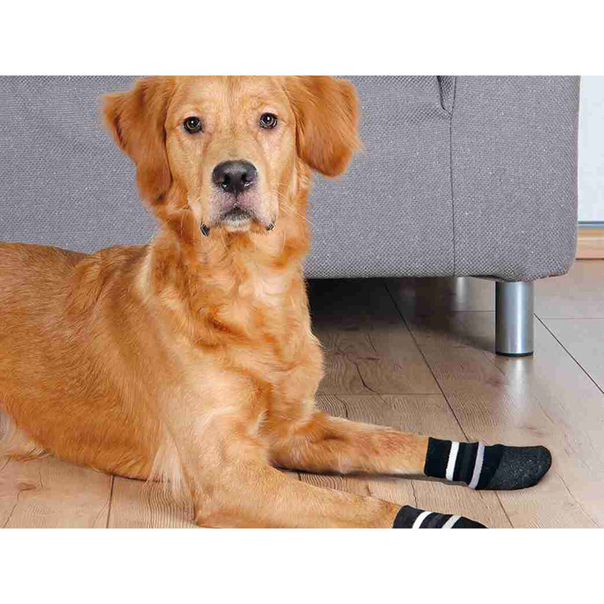 Sokken Trixie Zwart XL Hond