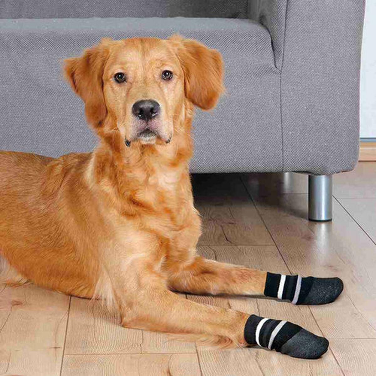 Sokken Trixie Zwart XL Hond