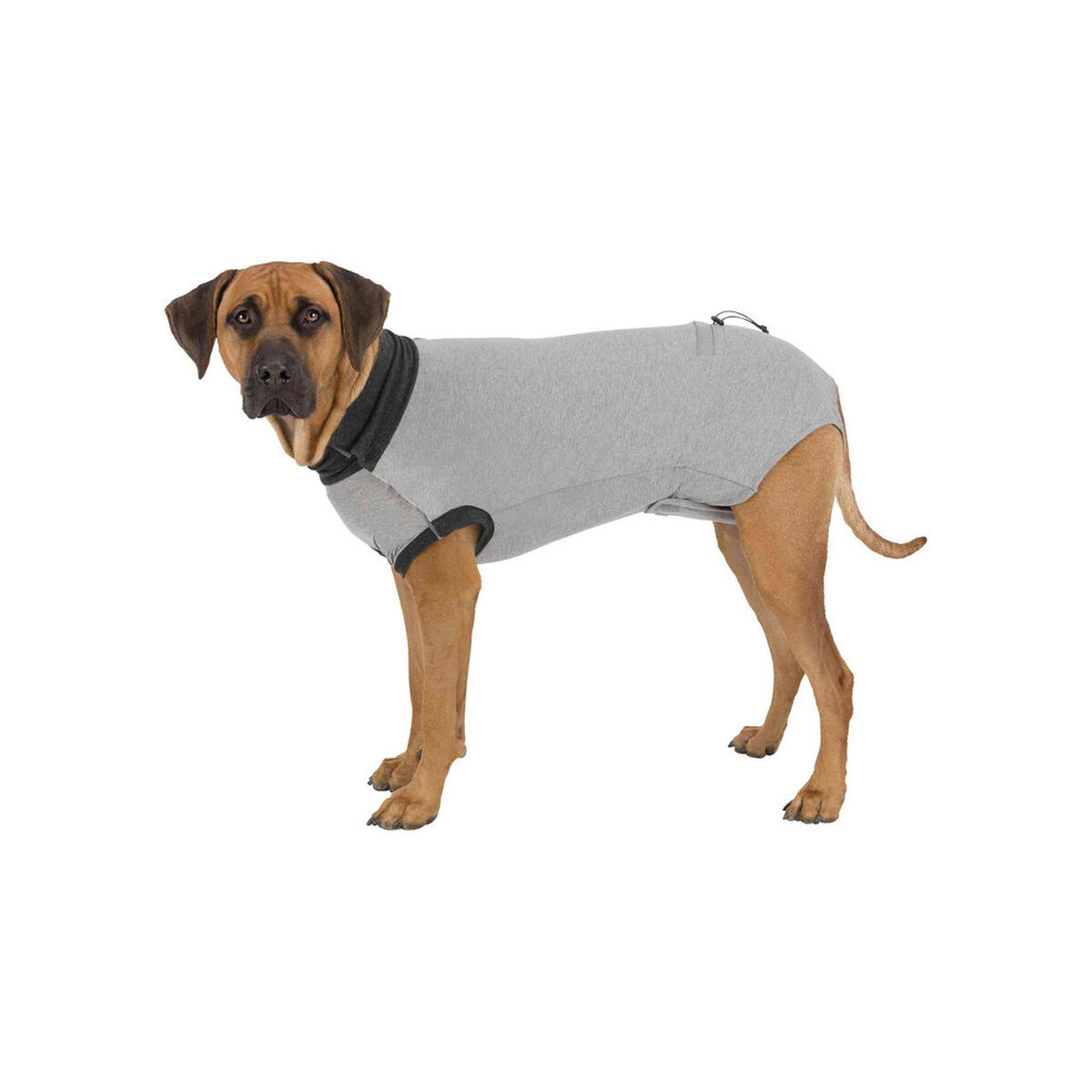 Lichaamsbeschermer voor honden Trixie Grijs L