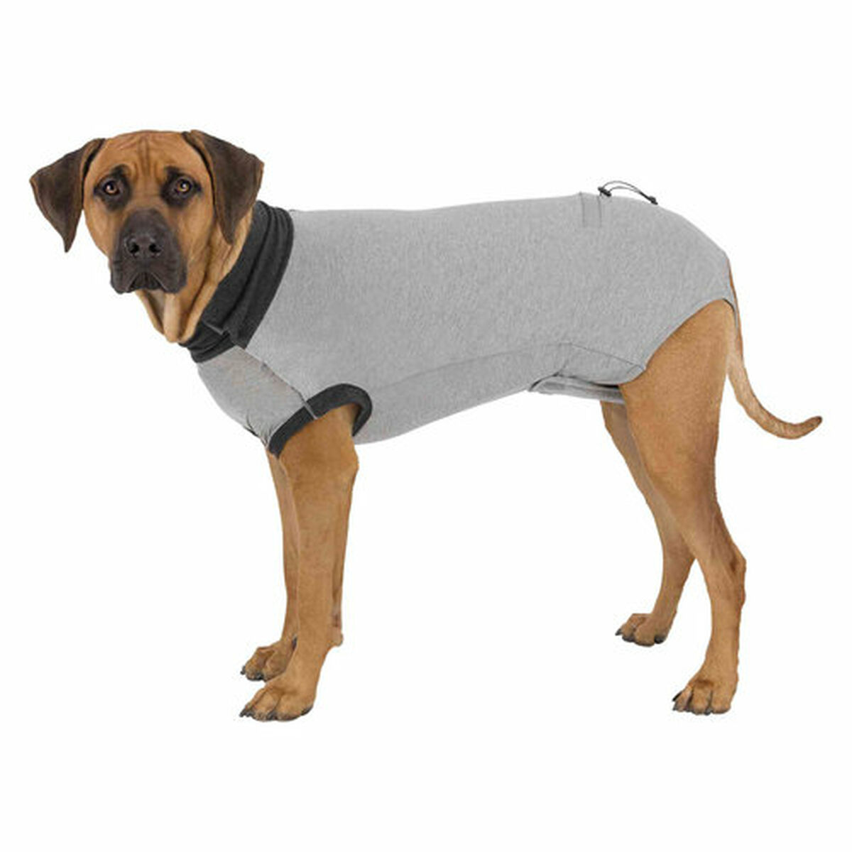 Lichaamsbeschermer voor honden Trixie Grijs L
