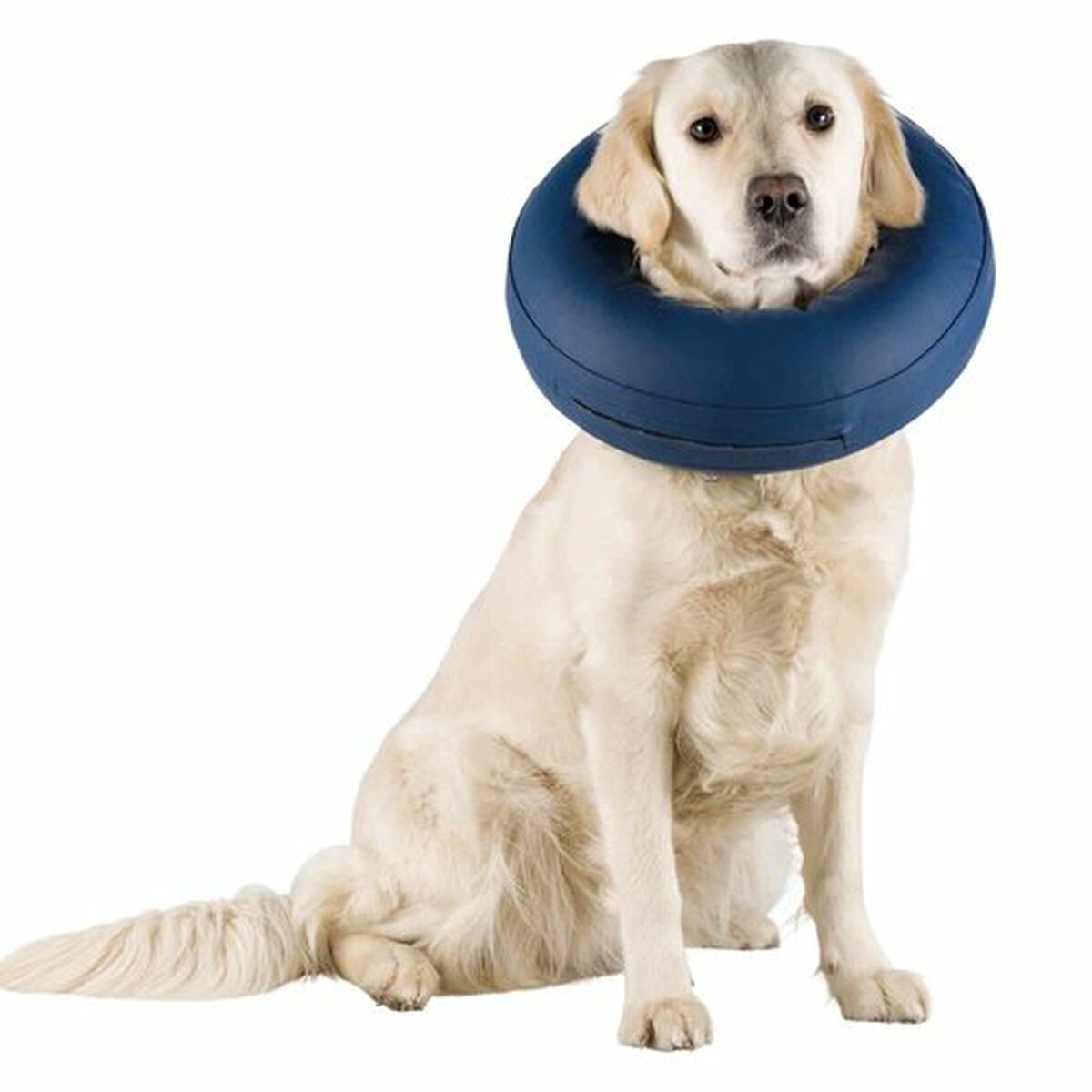 Protective collar for dog Trixie Blue Inflatable (45-57 cm), view 6