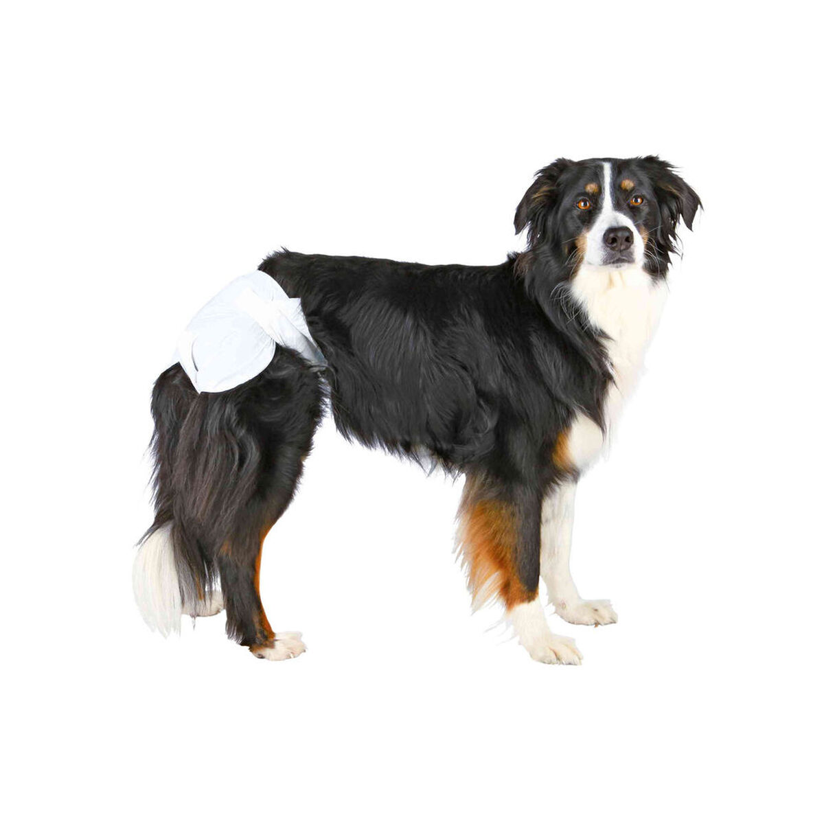 Nappies Trixie 23631 Dog XS/S, view 3