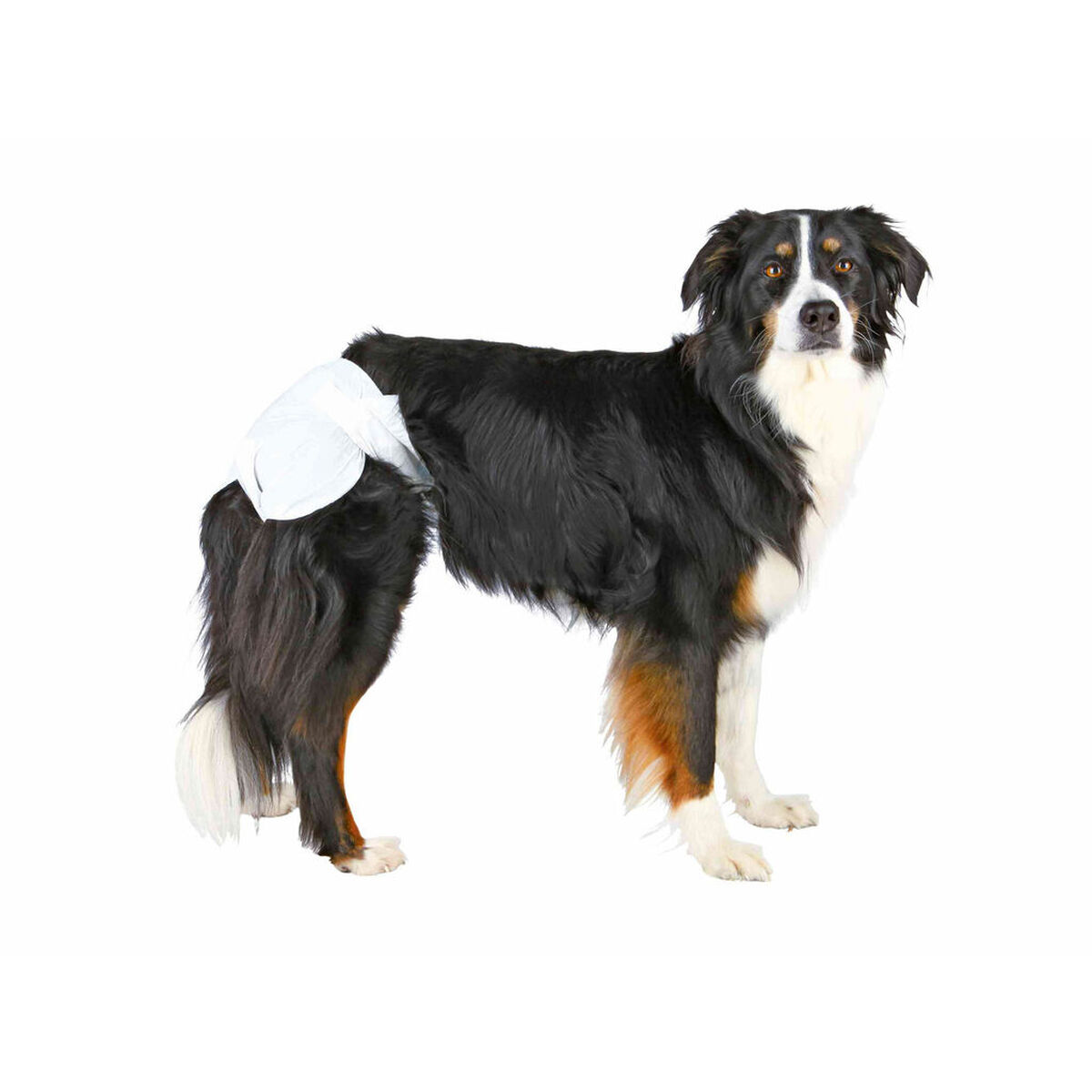 Nappies Trixie TX-23632 Dog S/M, view 3