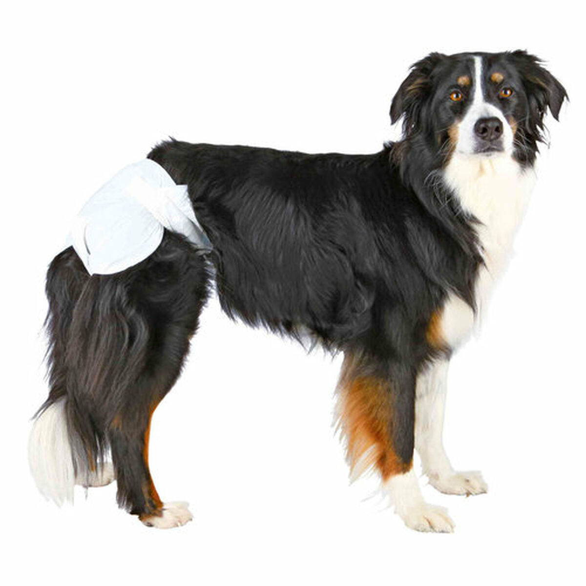 Nappies Trixie M Dog, view 4