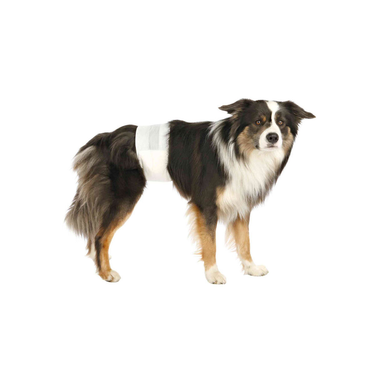 Nappies Trixie 23642 M/L 12 Units, view 3