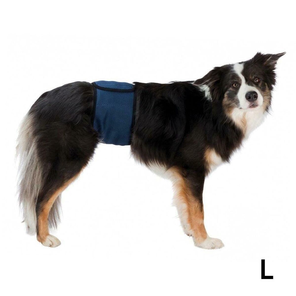 Image 9