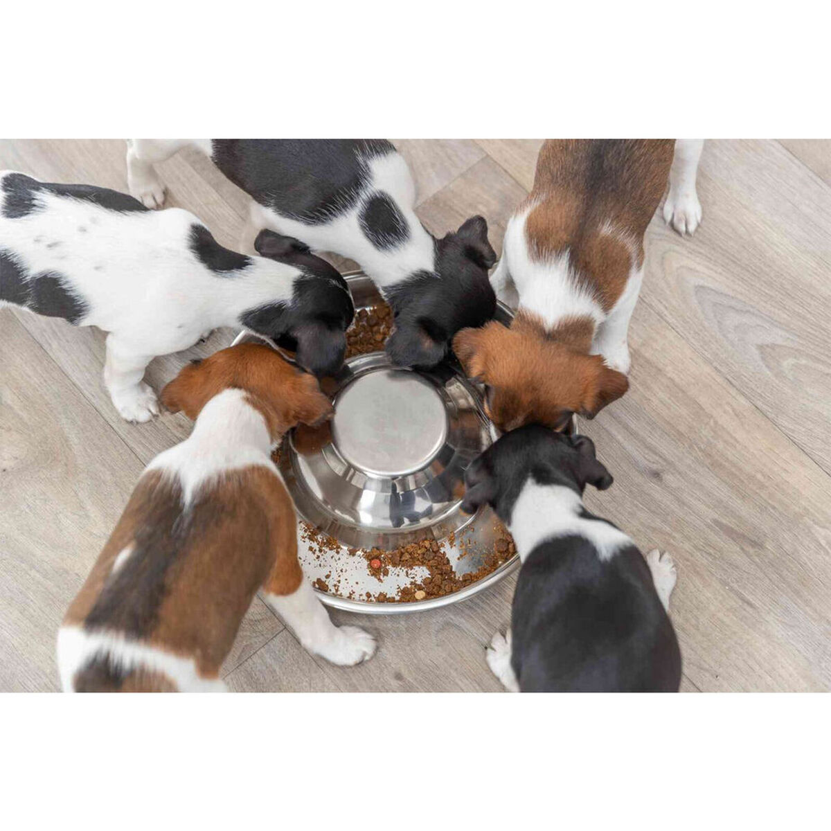Pet feeding dish Trixie Stainless steel 1,4 L Silver, view 3