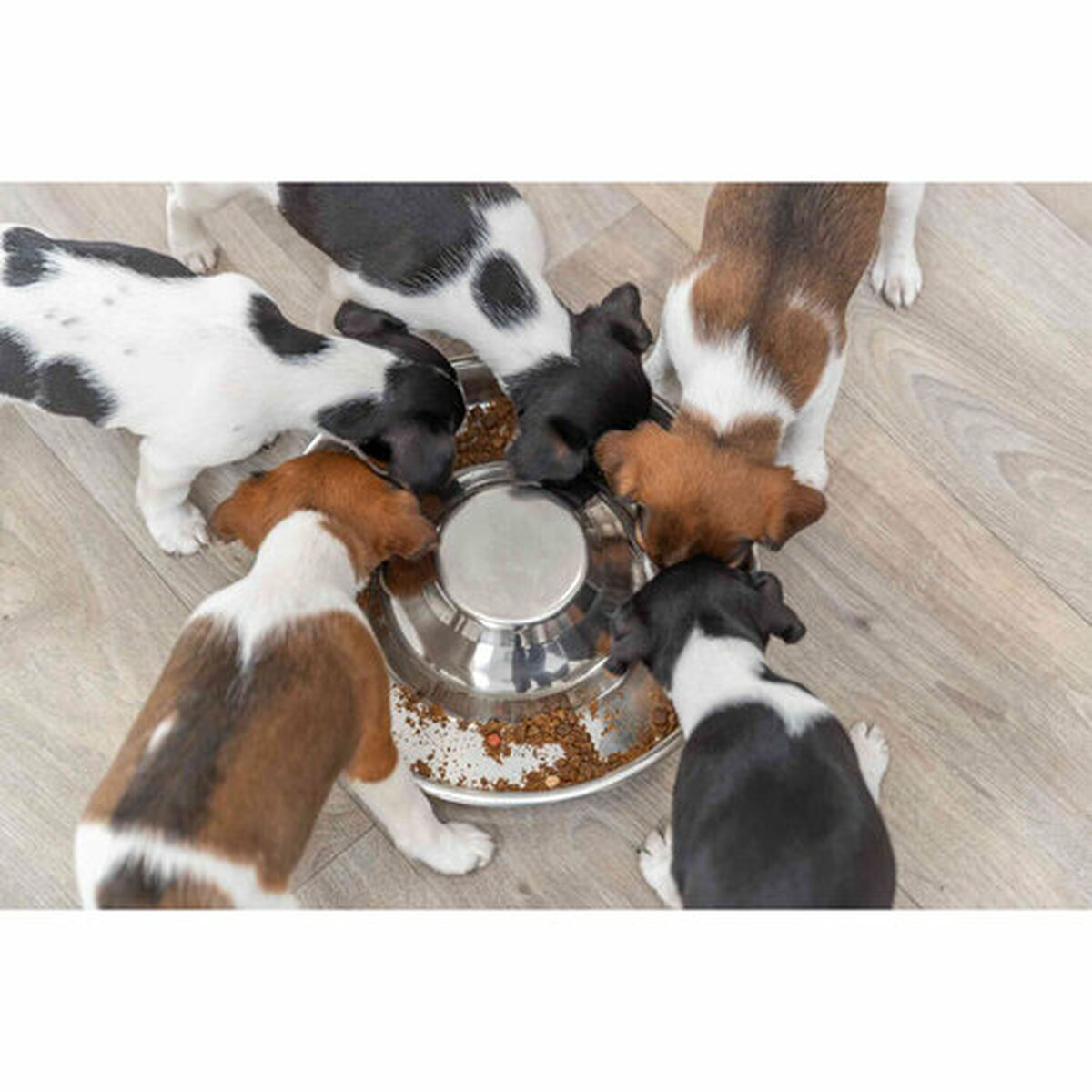 Pet feeding dish Trixie Stainless steel 1,4 L Silver, view 4