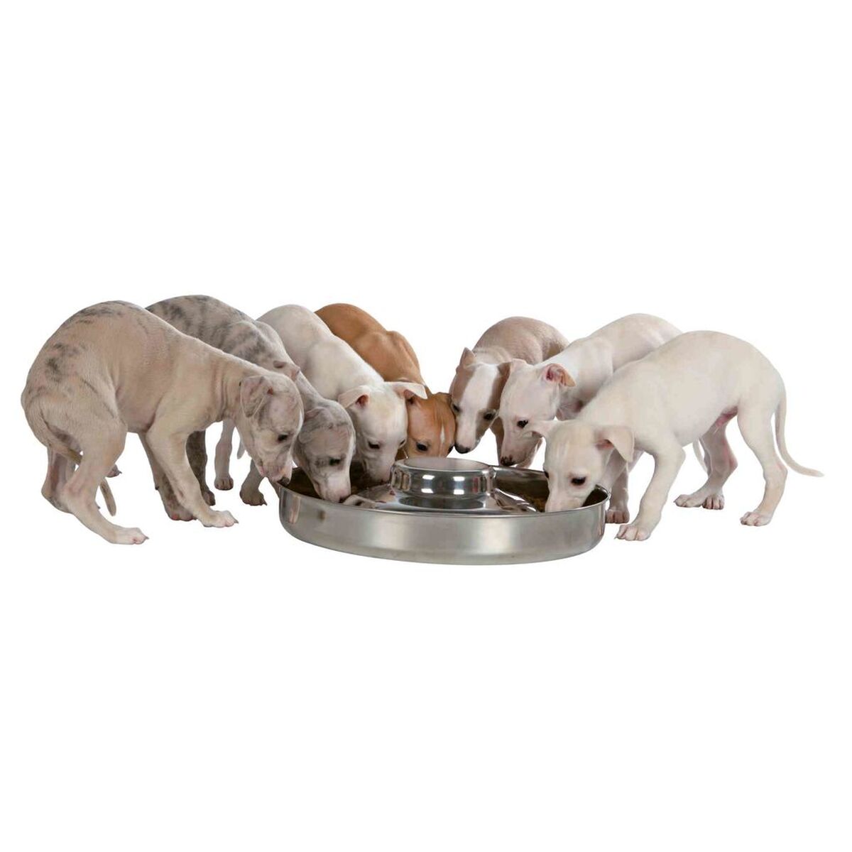 Dog Feeder Trixie Junior Stainless steel Ø 38 cm 4 L, view 3