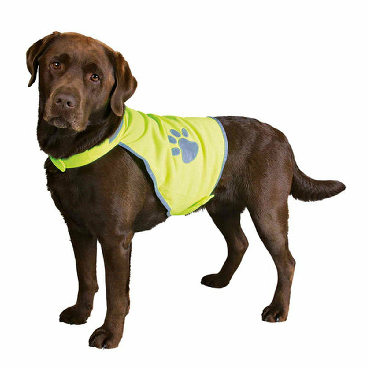 Hondenvest Trixie Geel S