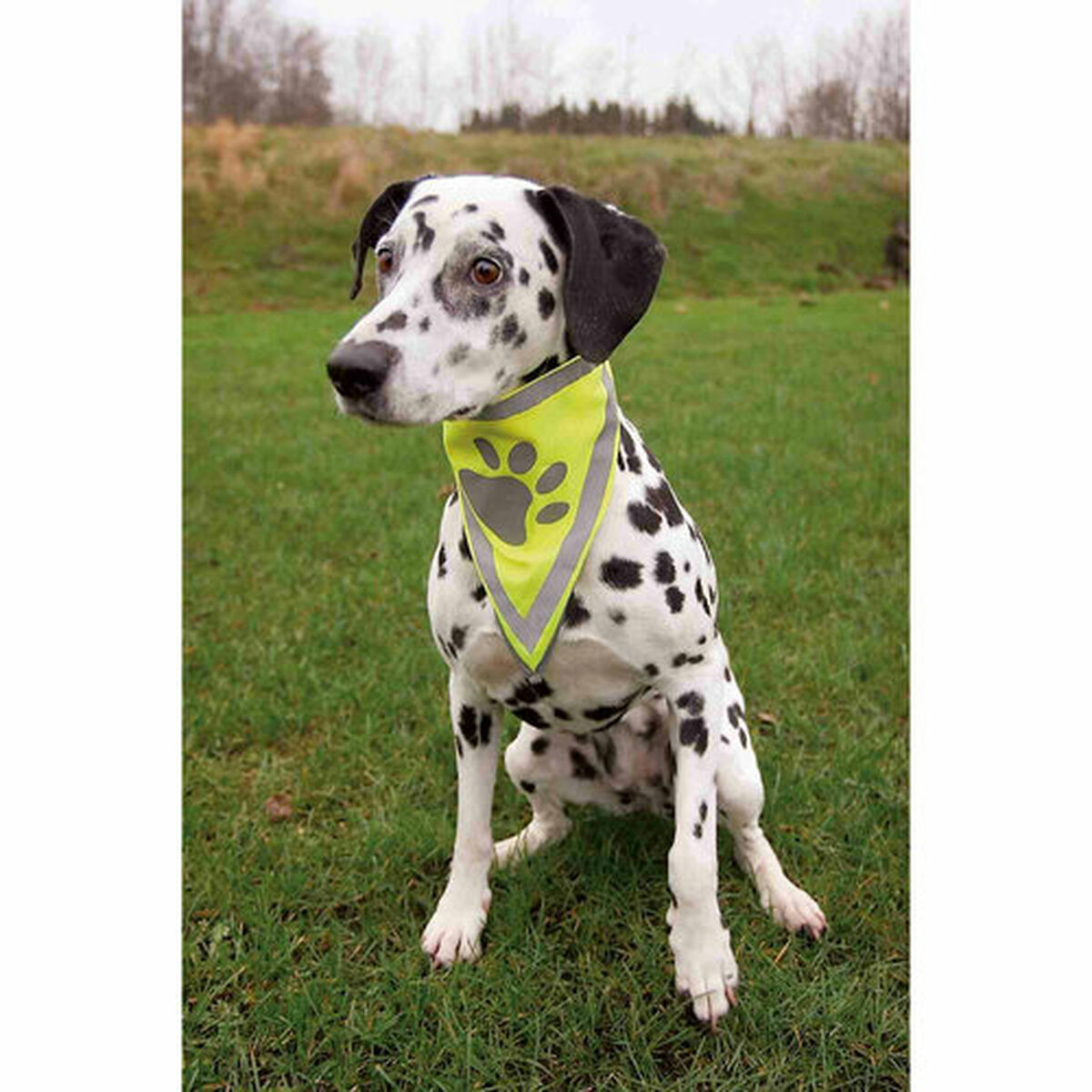 Bandana Trixie, view 4