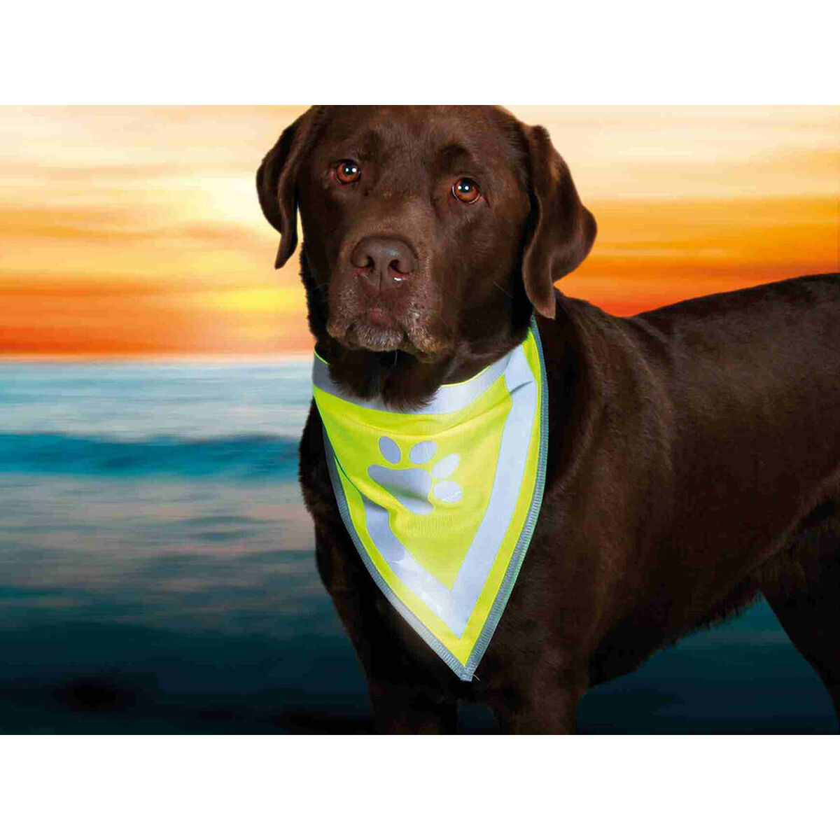 Bandana Trixie, view 5