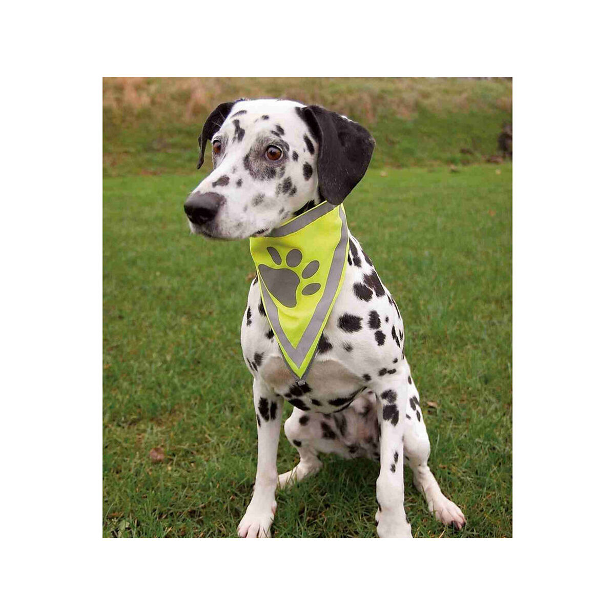 Reflective Pet Bandana Trixie, view 3