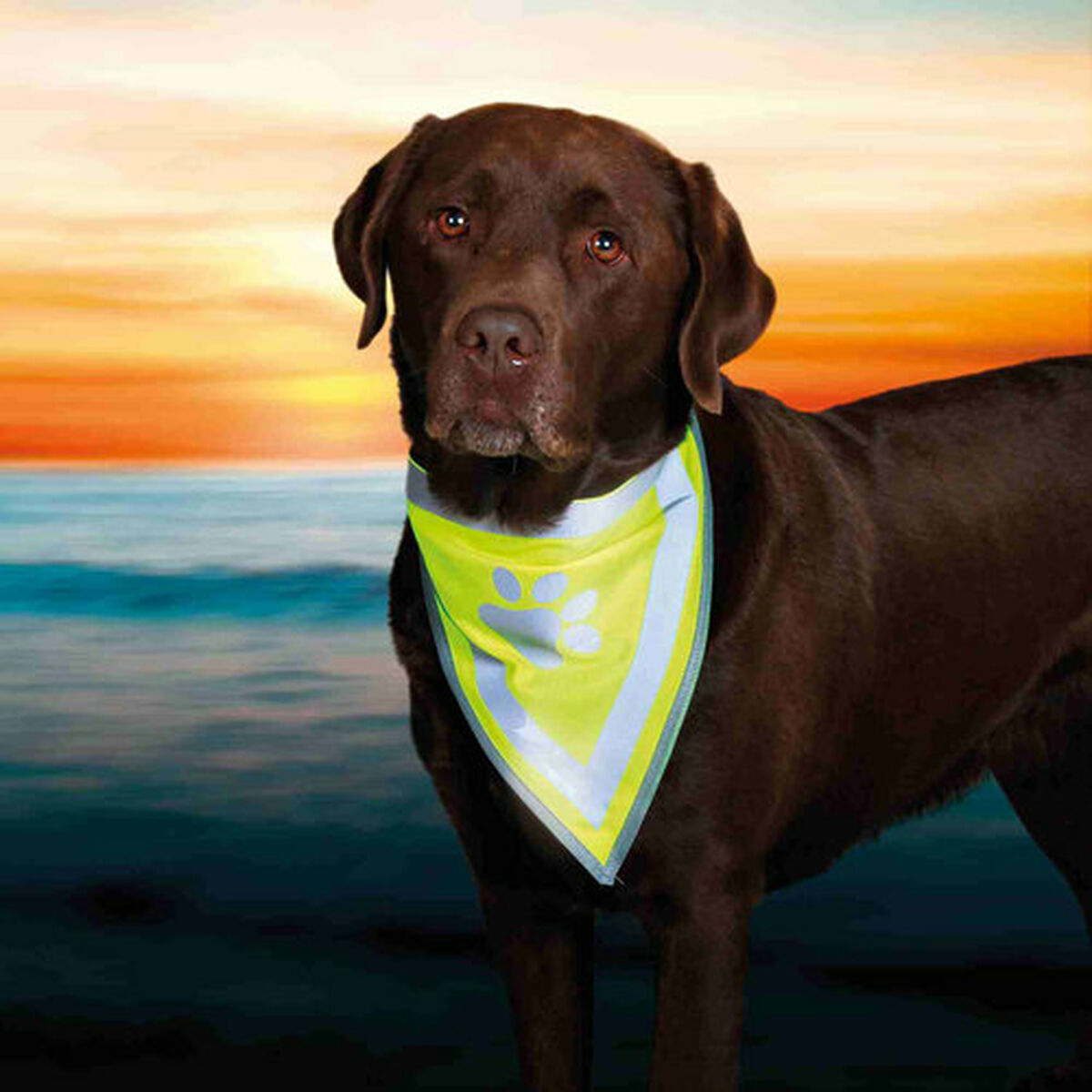 Reflective Pet Bandana Trixie, view 6
