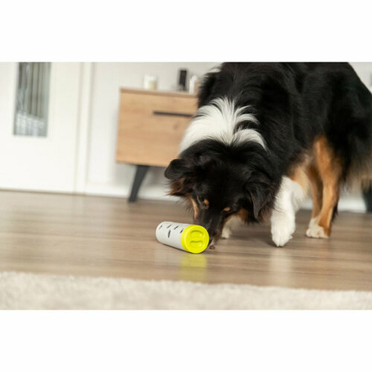 Training toy Trixie Snacks, view 6