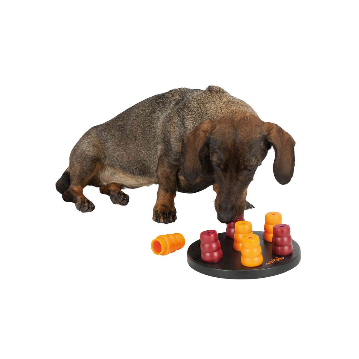 Dog toy Trixie Mini Solitario, view 3