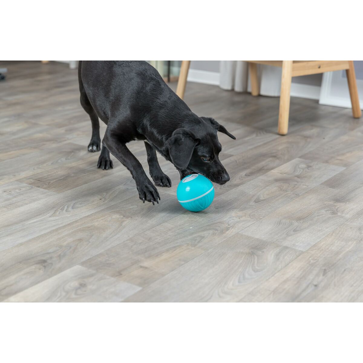 Dog toy Trixie Blue Natural rubber Plastic TPR Ø 14 cm Snacks, view 2