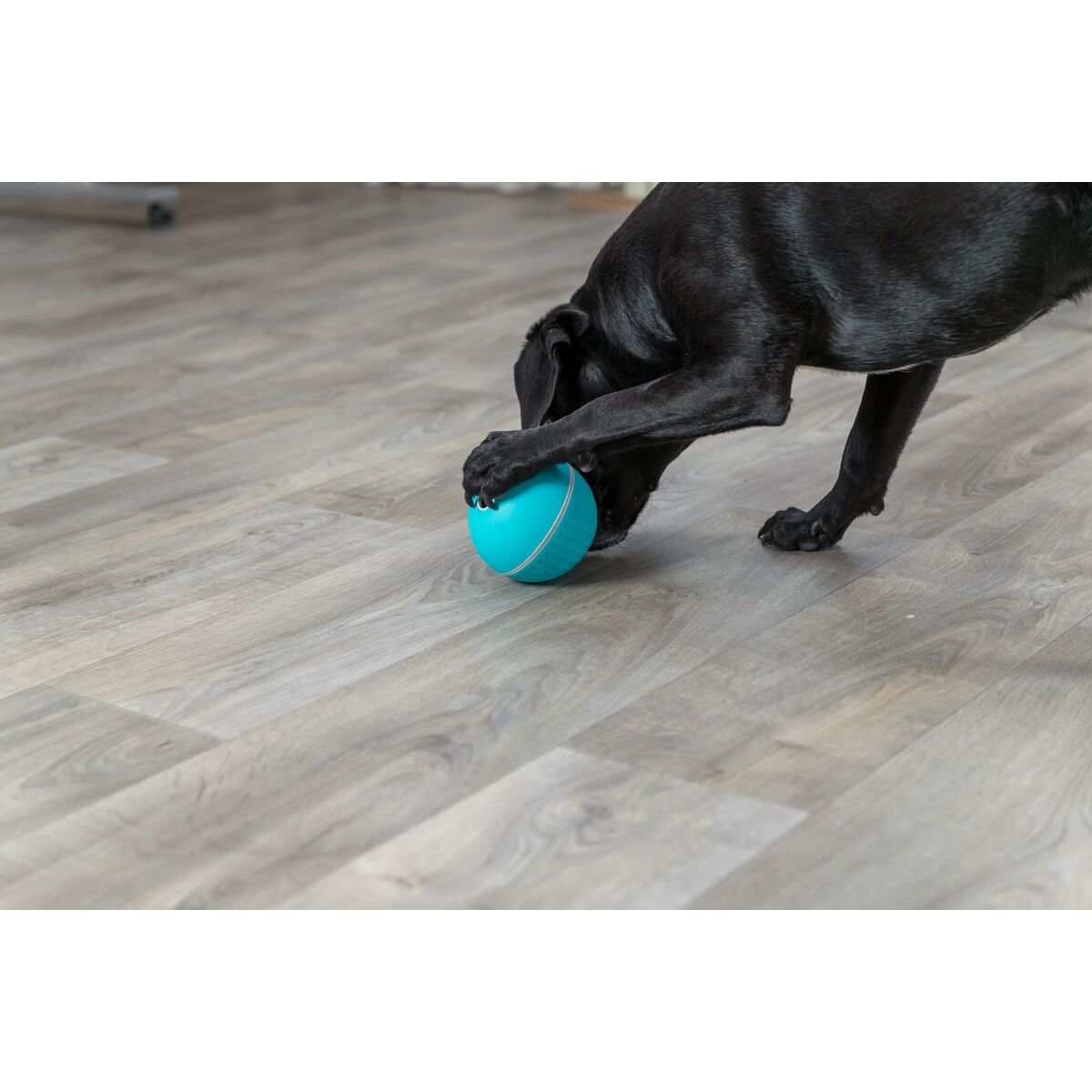 Dog toy Trixie Blue Natural rubber Plastic TPR Ø 14 cm Snacks, view 3