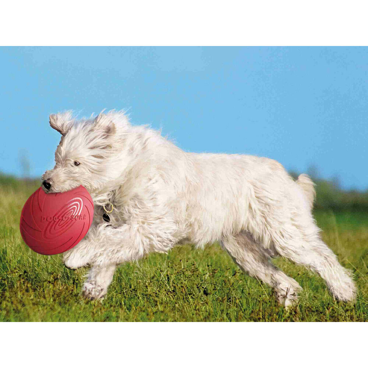 Frisbee Trixie Natural rubber Ø 24 cm, view 3