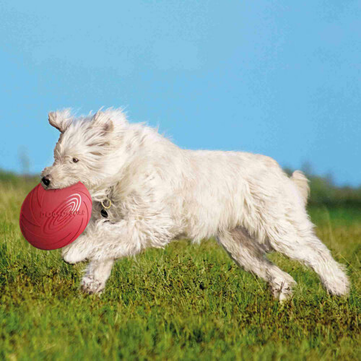 Frisbee Trixie Natural rubber Ø 24 cm, view 4