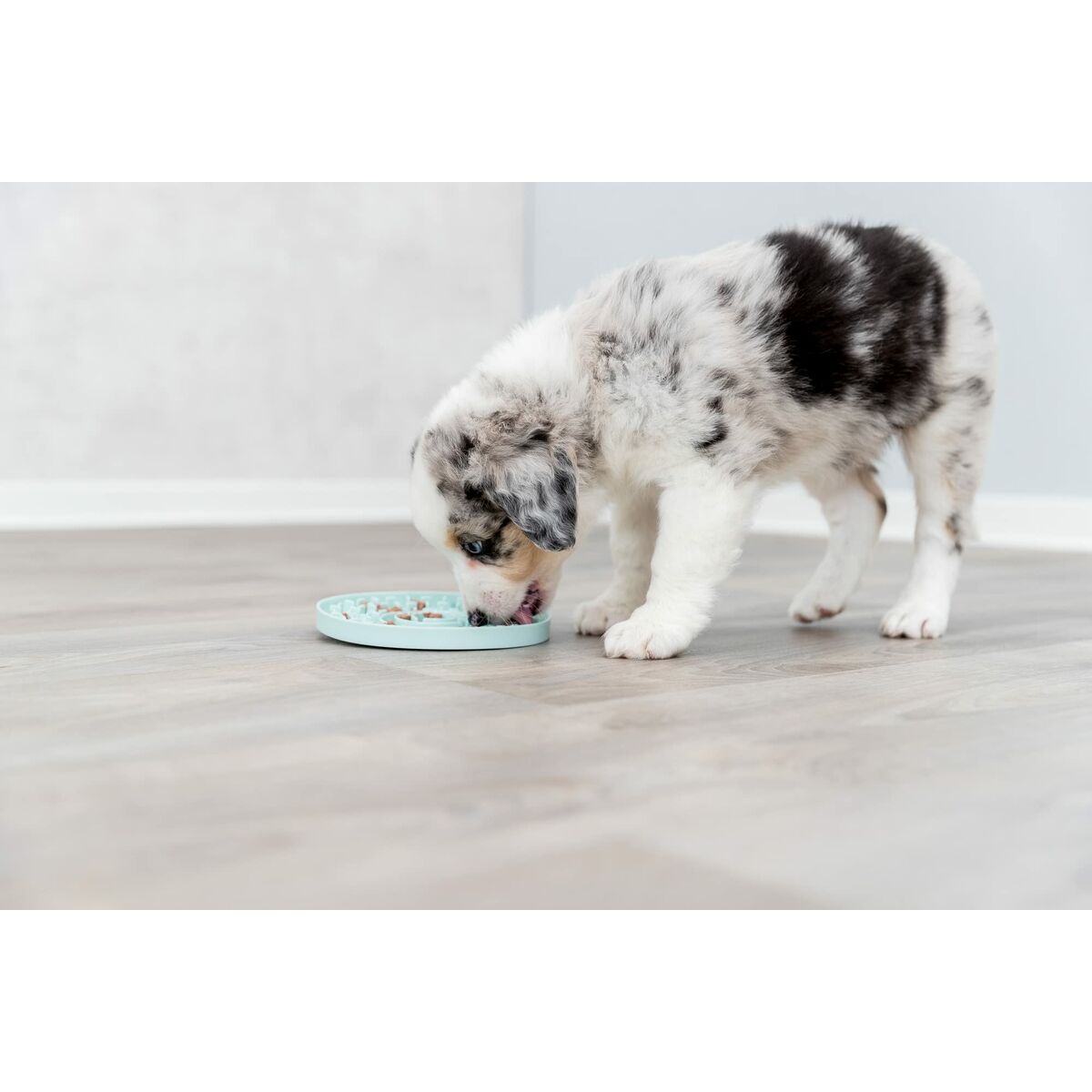 Pet feeding dish Trixie Junior Licking Green Mint