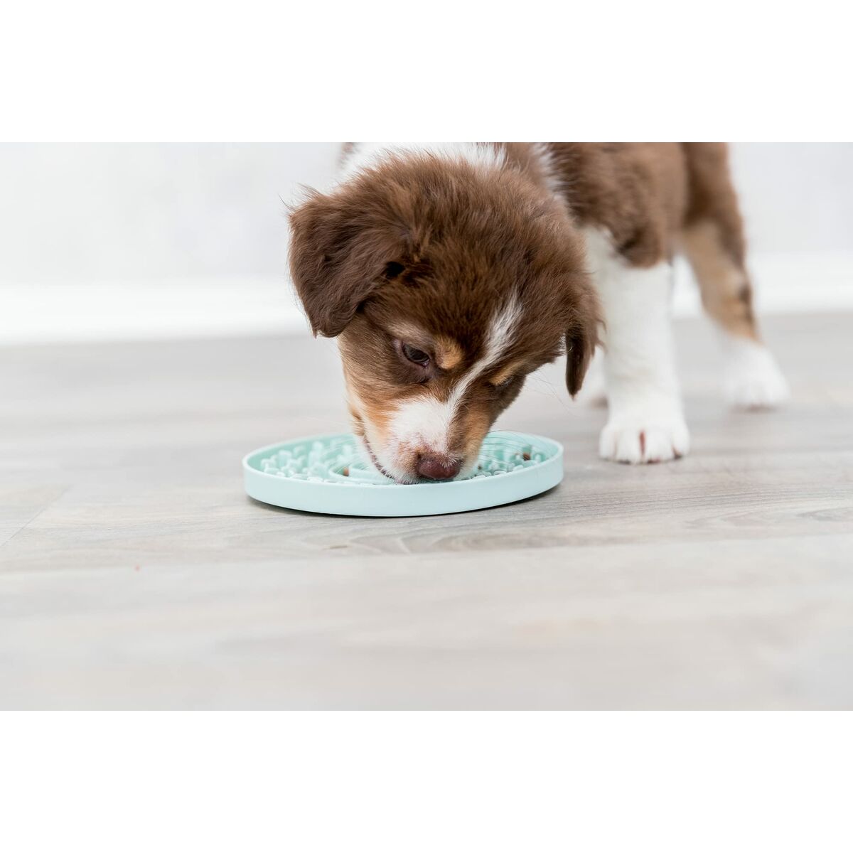 Pet feeding dish Trixie Junior Licking Green Mint