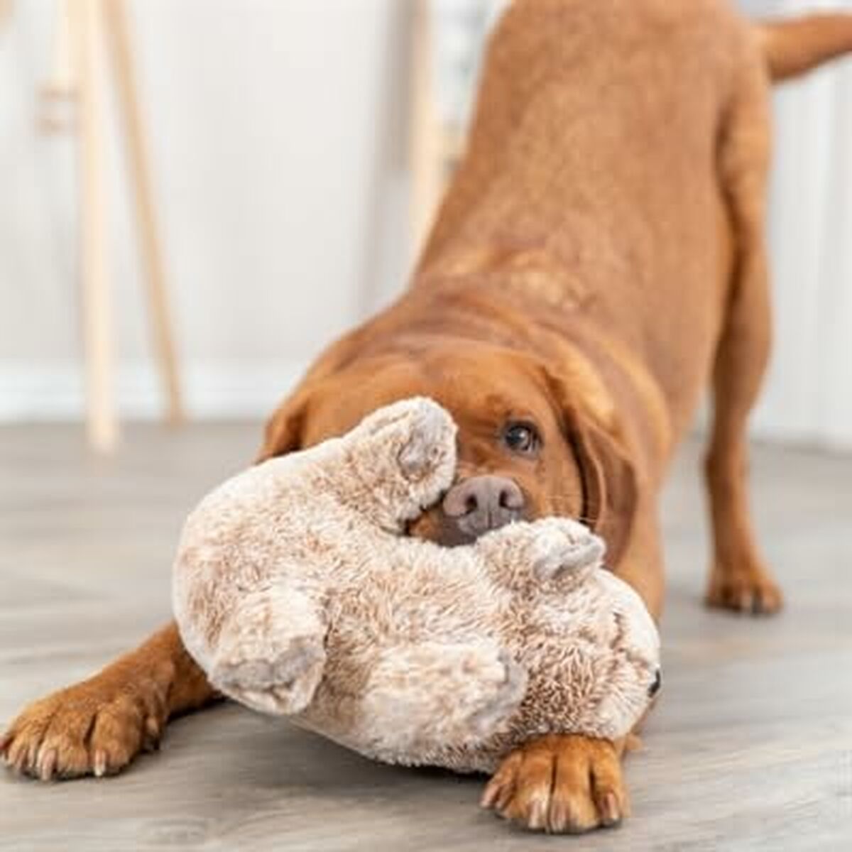Knuffel voor honden Trixie Polyester Pluche Koala 25 cm