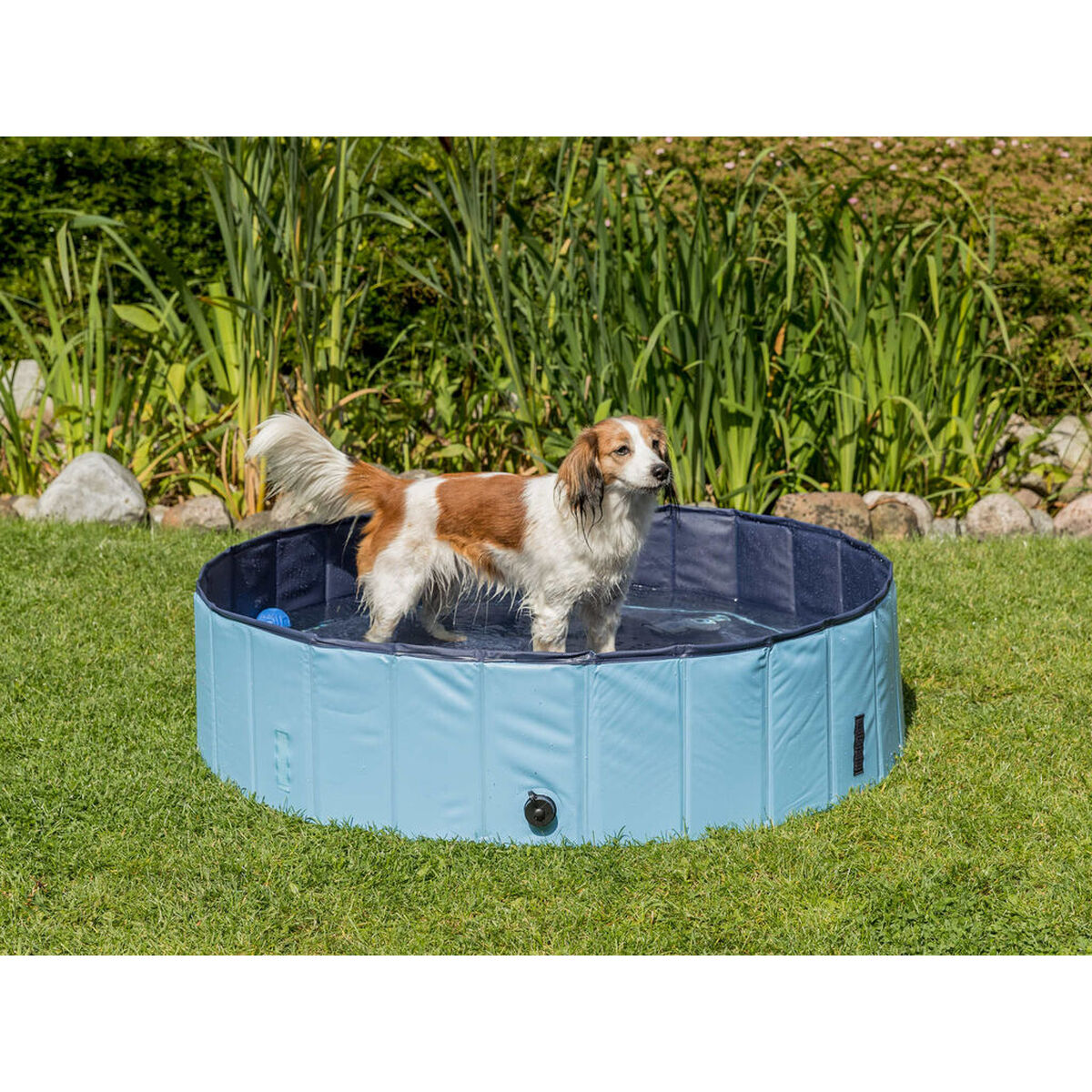 Dog Pool Trixie Light Blue Ø 70 × 12 CM, view 6