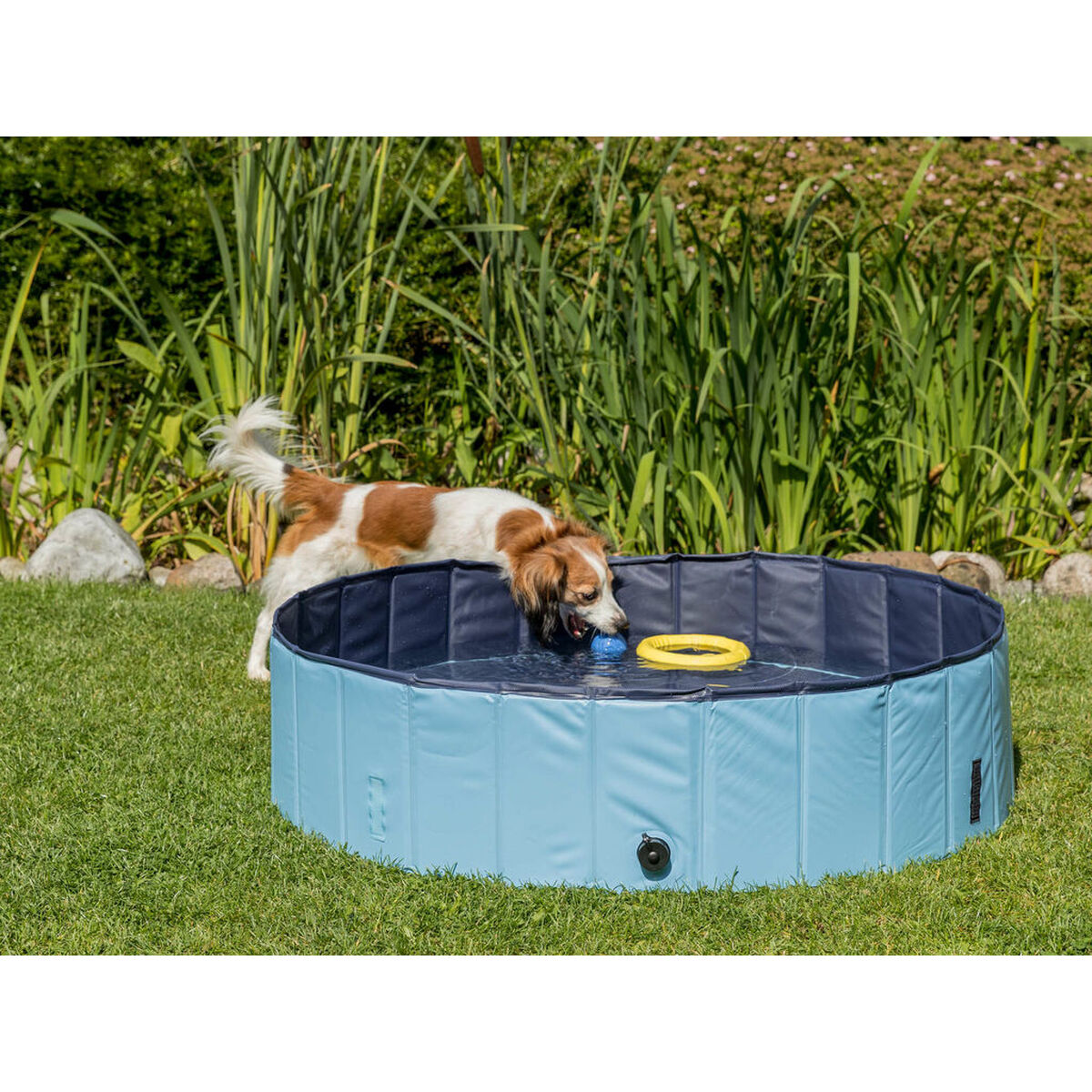 Dog Pool Trixie Light Blue Ø 70 × 12 CM, view 3
