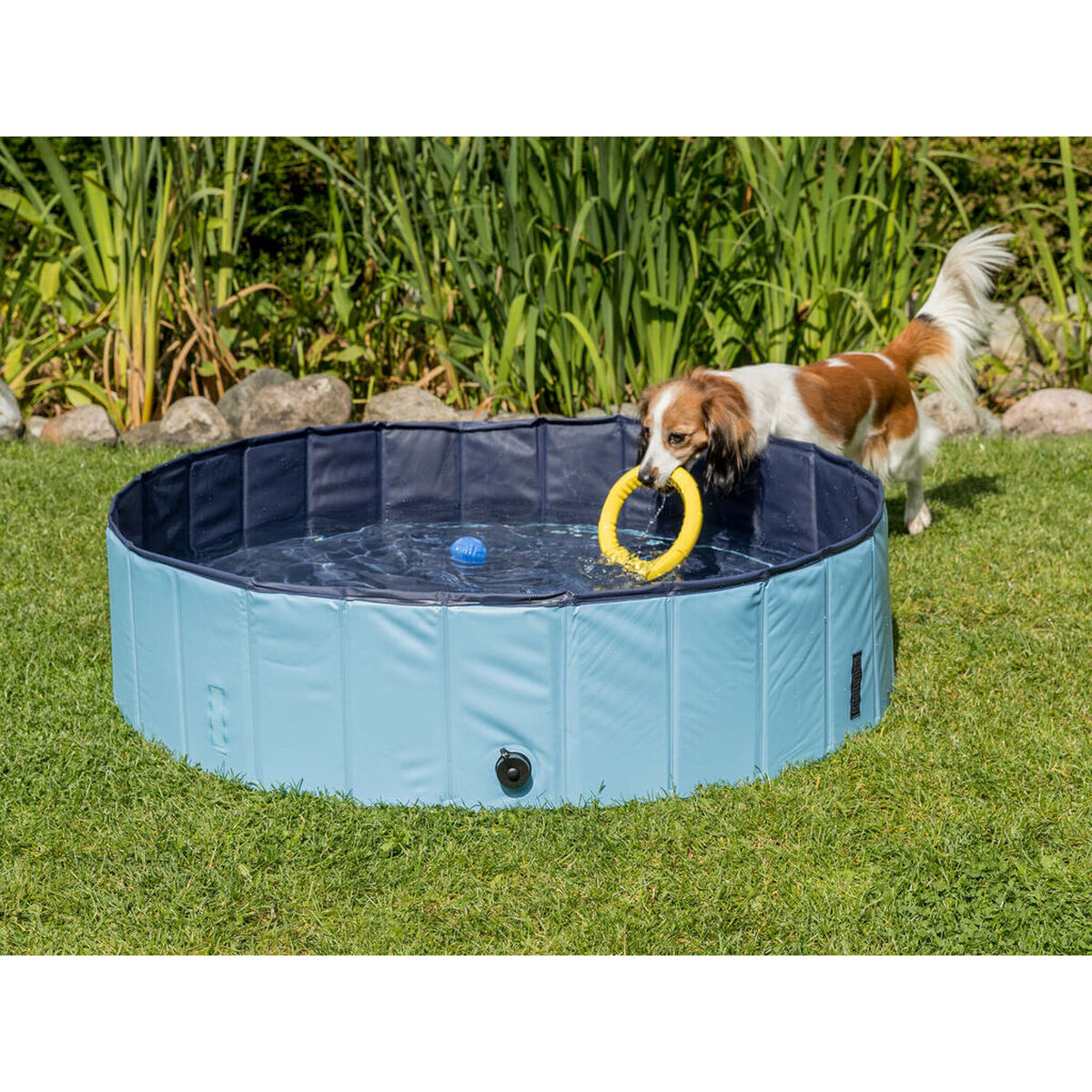Dog Pool Trixie Light Blue Ø 70 × 12 CM, view 4