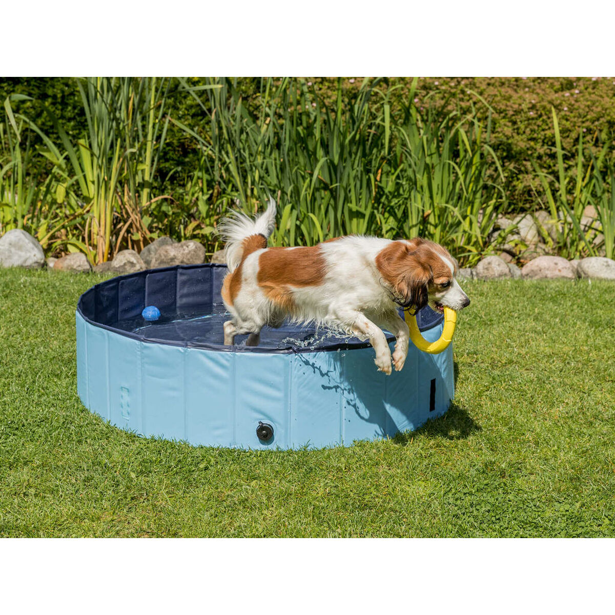 Dog Pool Trixie Light Blue Ø 70 × 12 CM, view 5