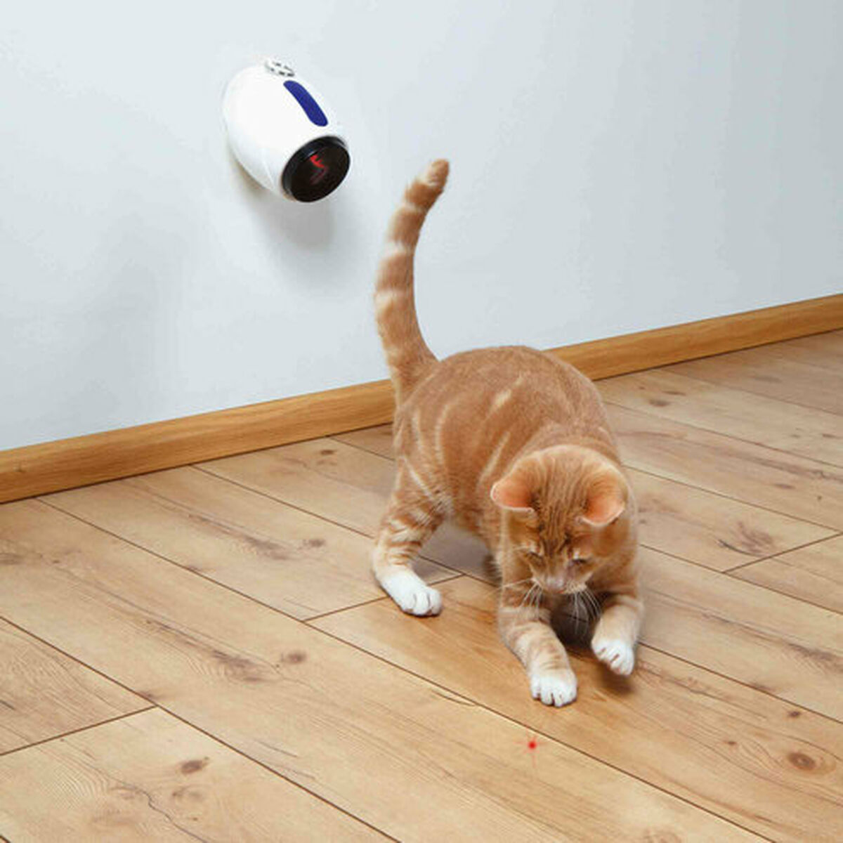 Laserpointer Trixie