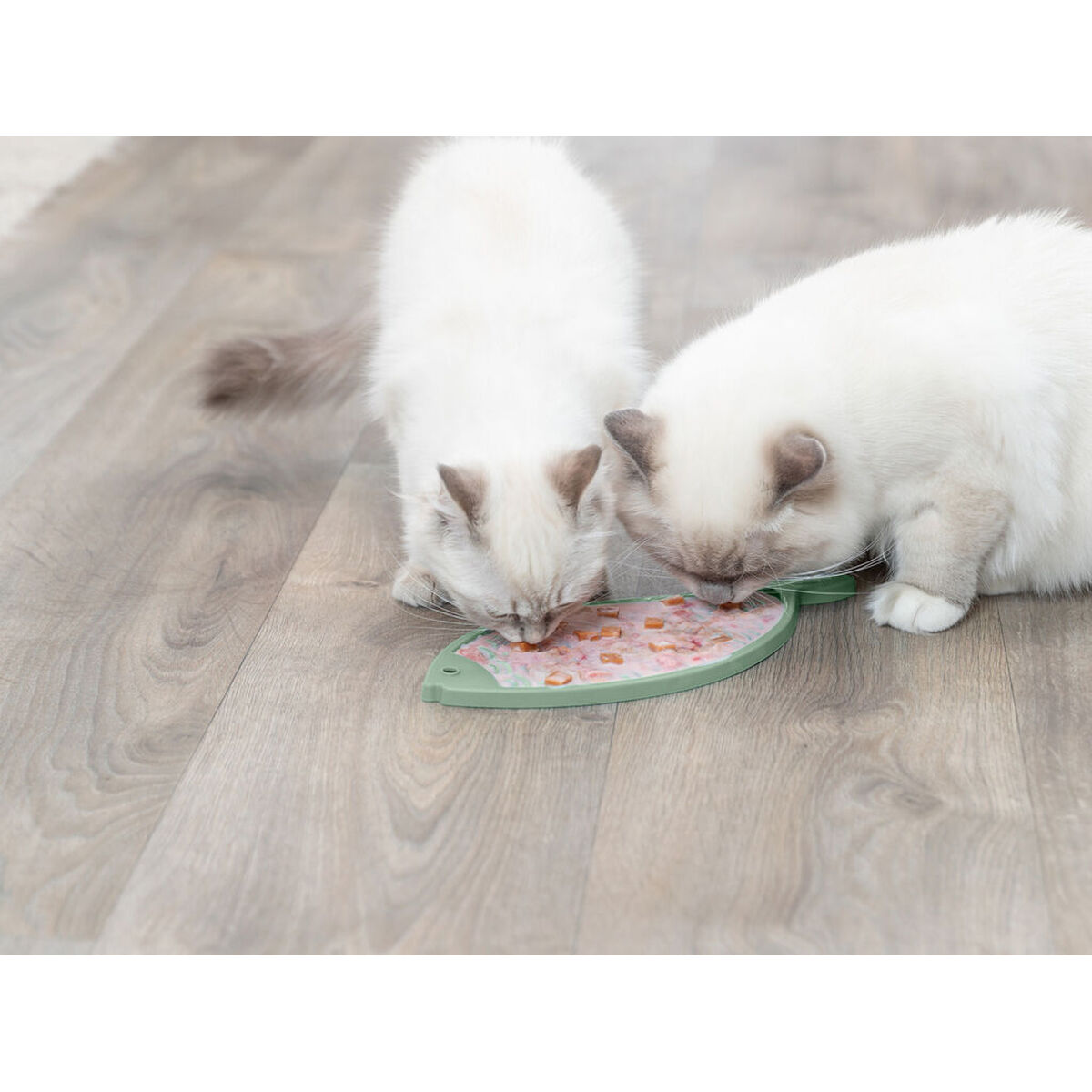 Pet feeding dish Trixie TX-41369 Blue Turquoise Silicone, view 5