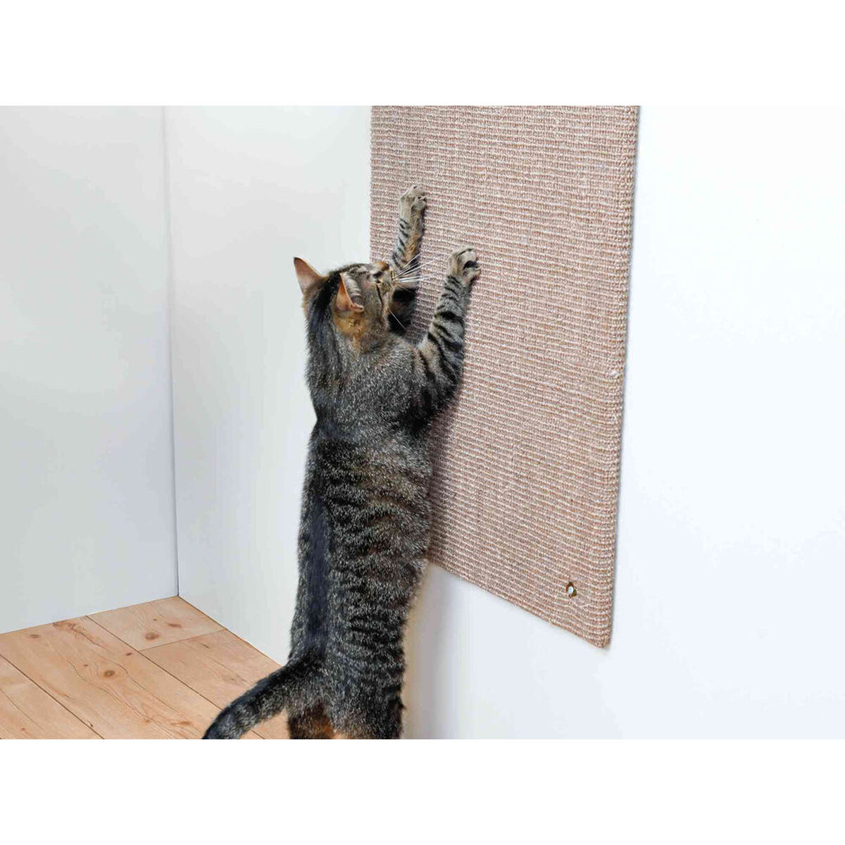 Scratching Post for Cats XXL Trixie Brown, view 2